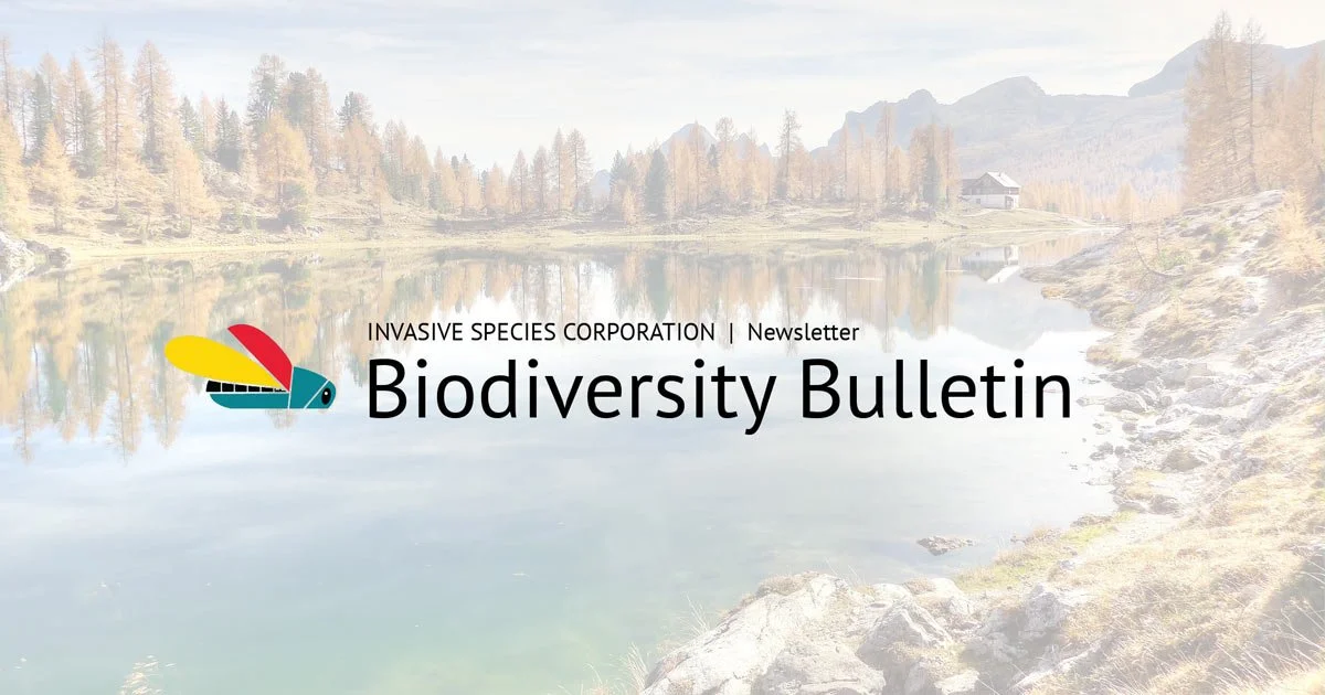 ISC Newsletter 005 - Jan 2025