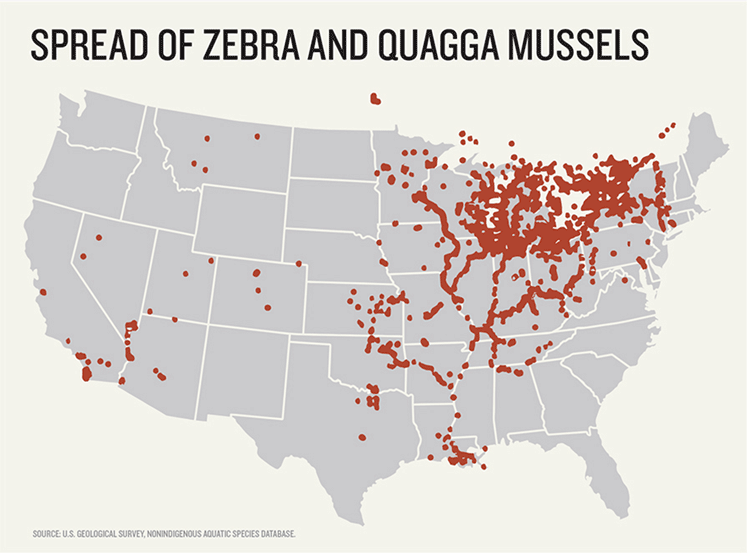 spread of zebra mussels