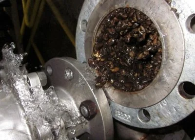 Six-inch process water intake pipe clogged with zebra mussels., industrial facility in Michigan.