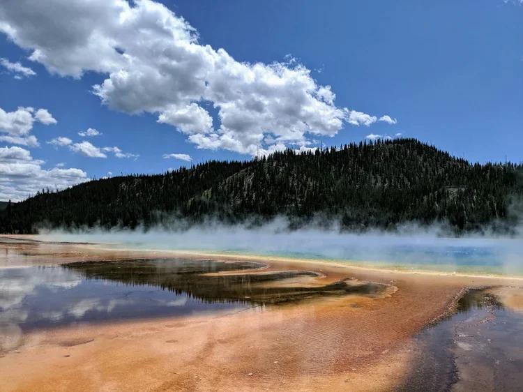 Invasive Species Corporation Achieves Major Milestone in First Microbial Discovery Project