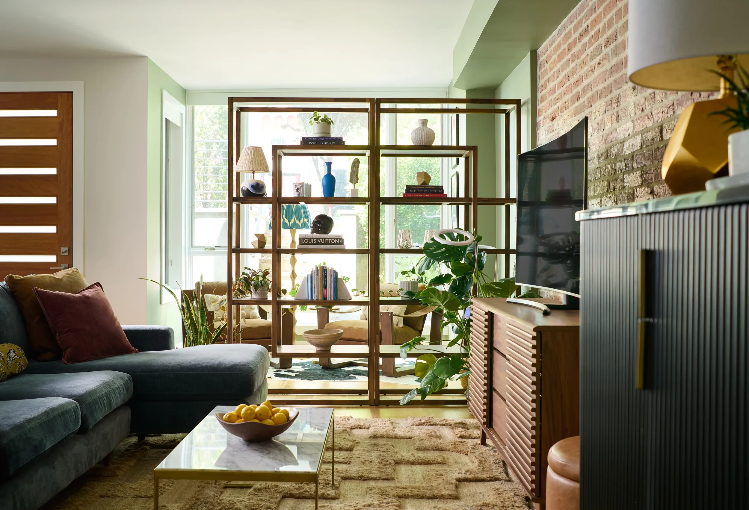 washington-dc-living-room-elevated-organic-interior-design.webp