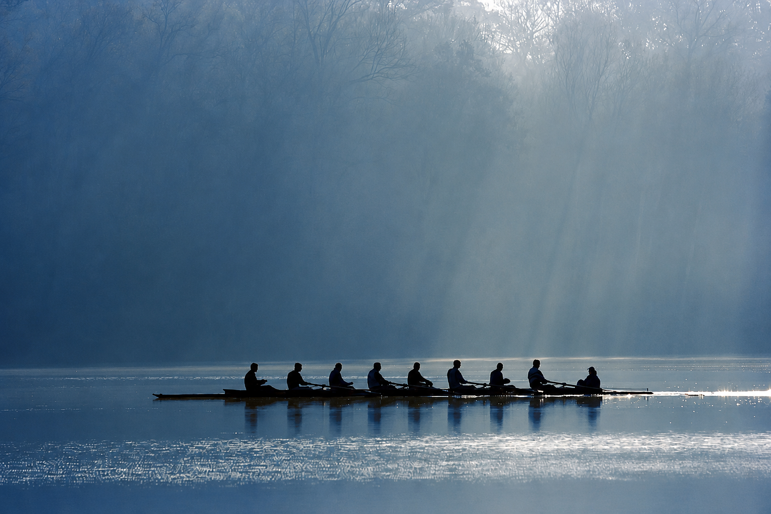 Workforce Resilience & Culture Programme