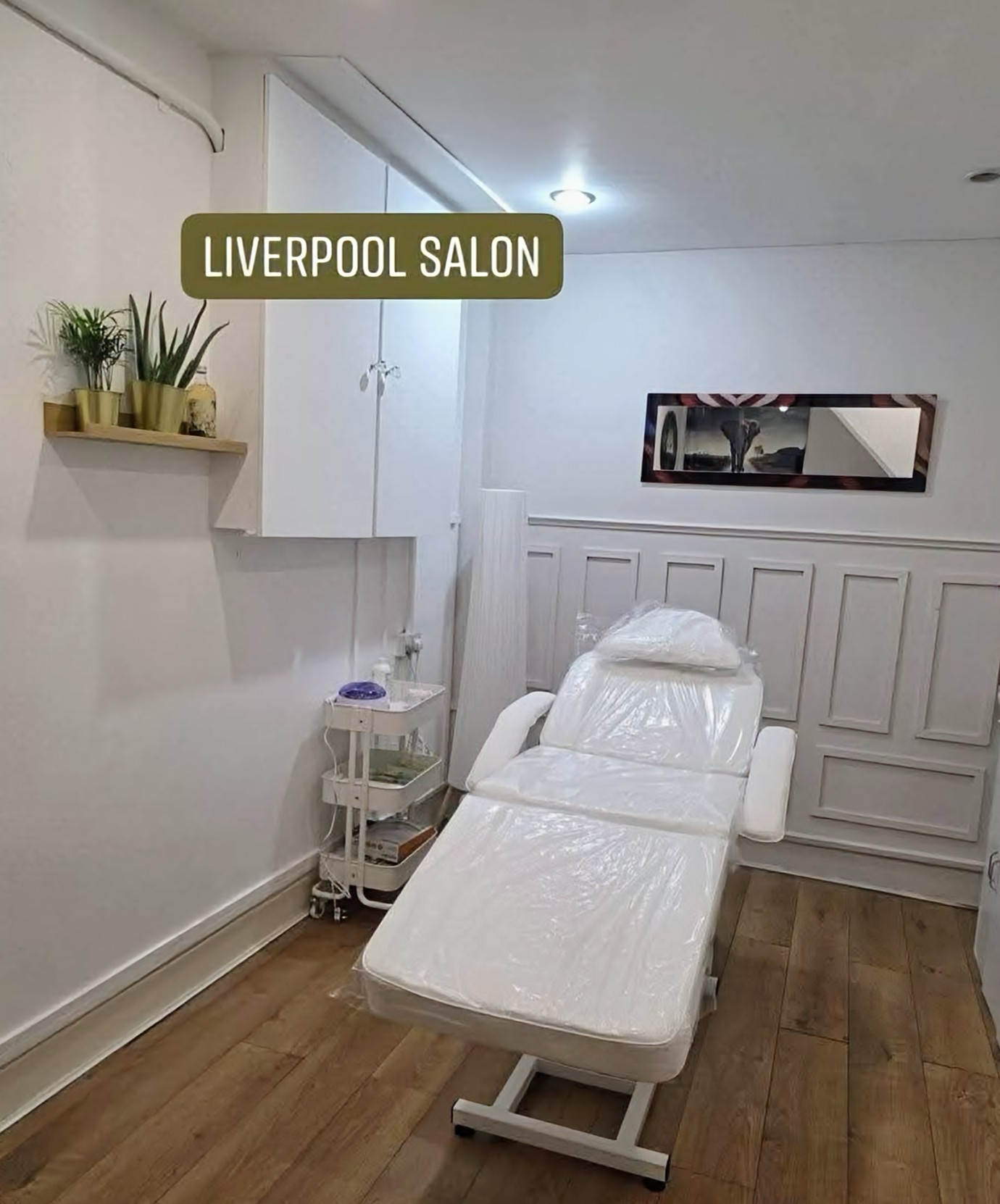 A treatment room at Liverpool Salon with a white reclining chair covered in plastic, a small white rolling cart, potted plants on a shelf, and a horizontal mirror on the wall.
