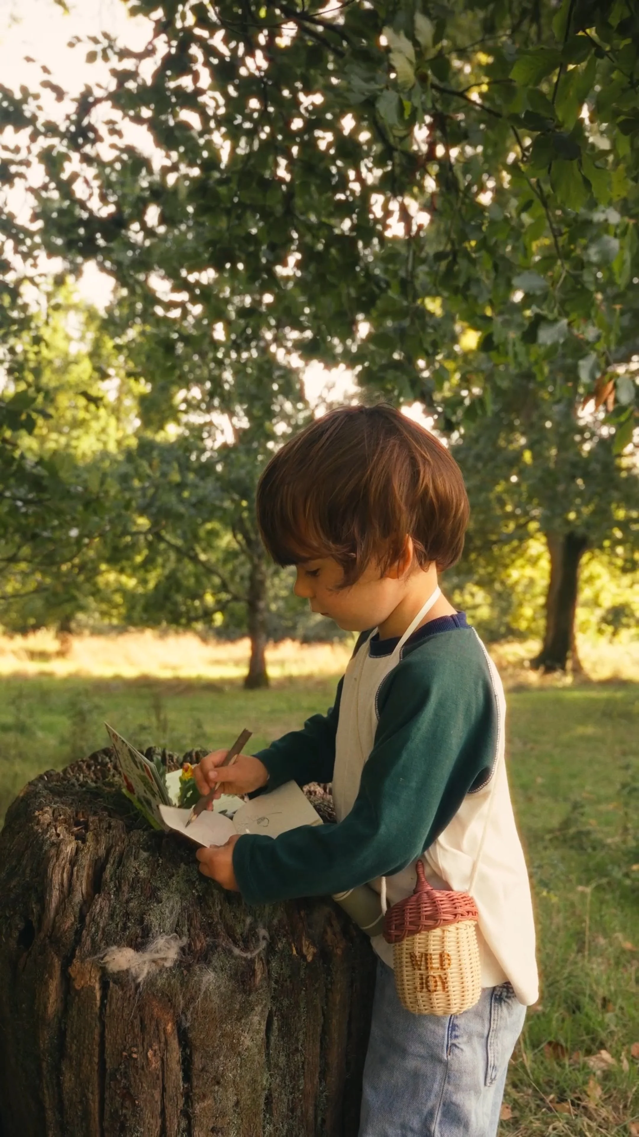 Still 2026-05-18 213327_1.3.5.jpg