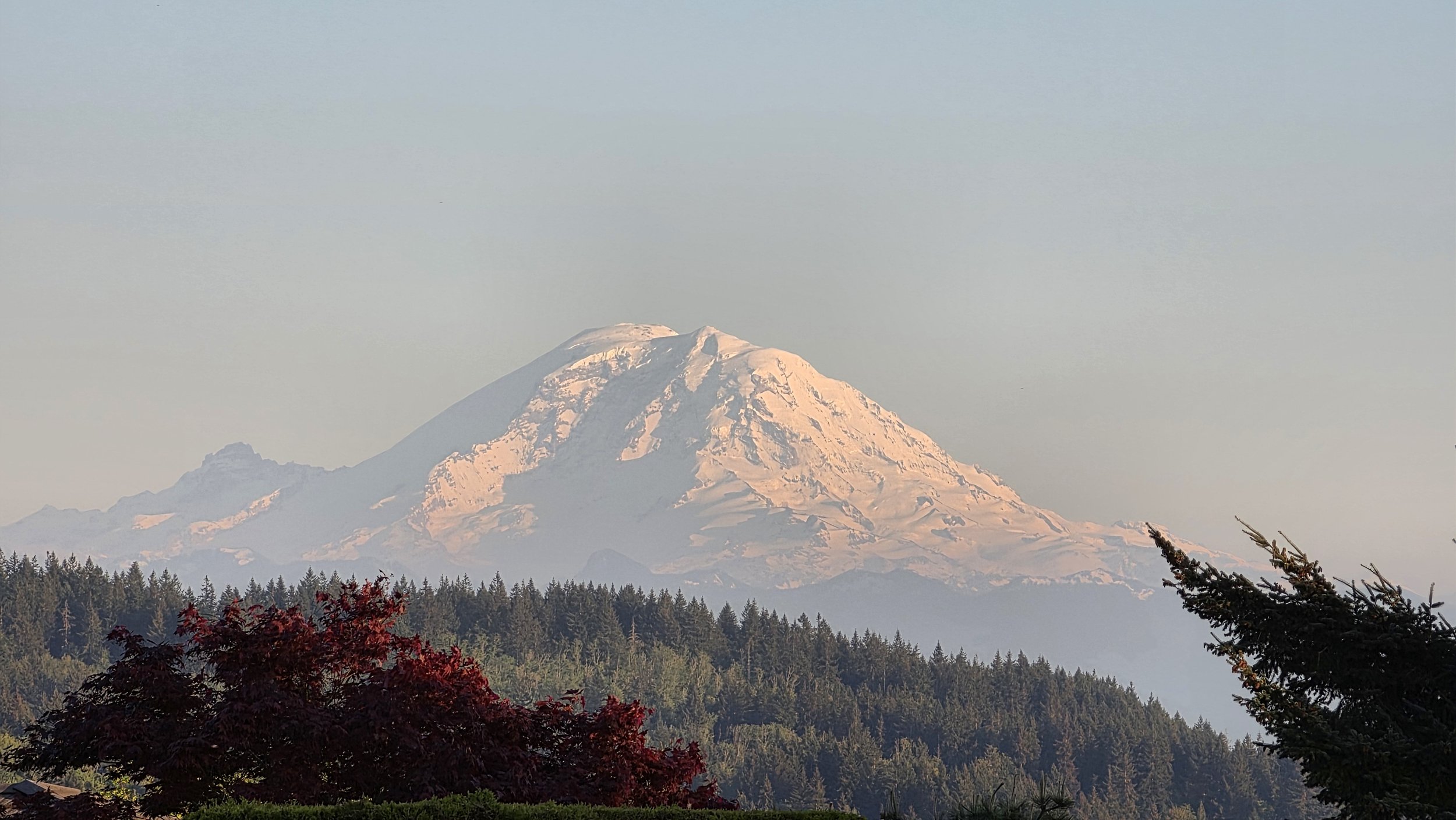 Snow-capped mountain in the distance, with a forest of evergreen trees and red-leafed trees in the foreground.