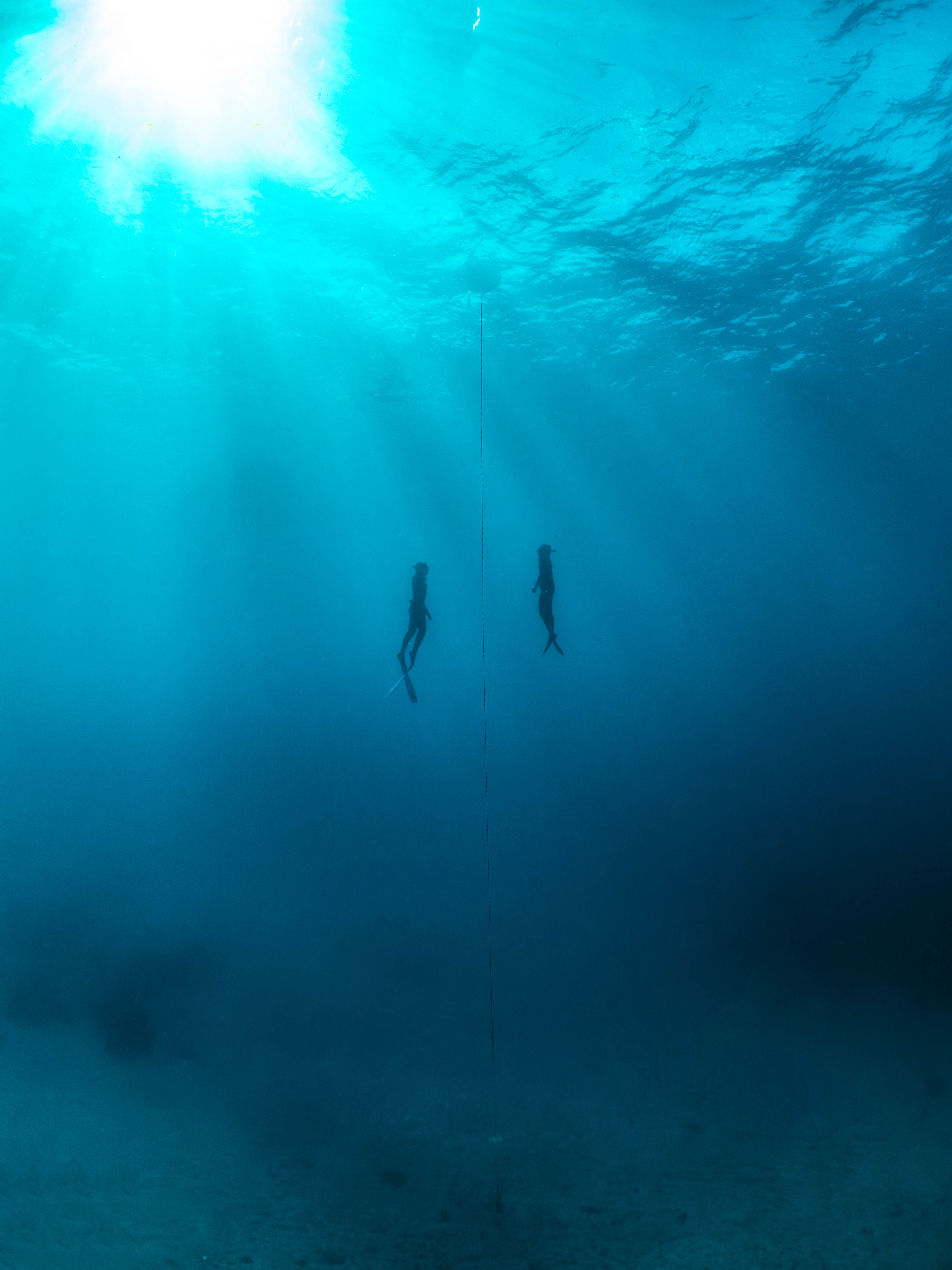 Mar 5 Freedive-14.png