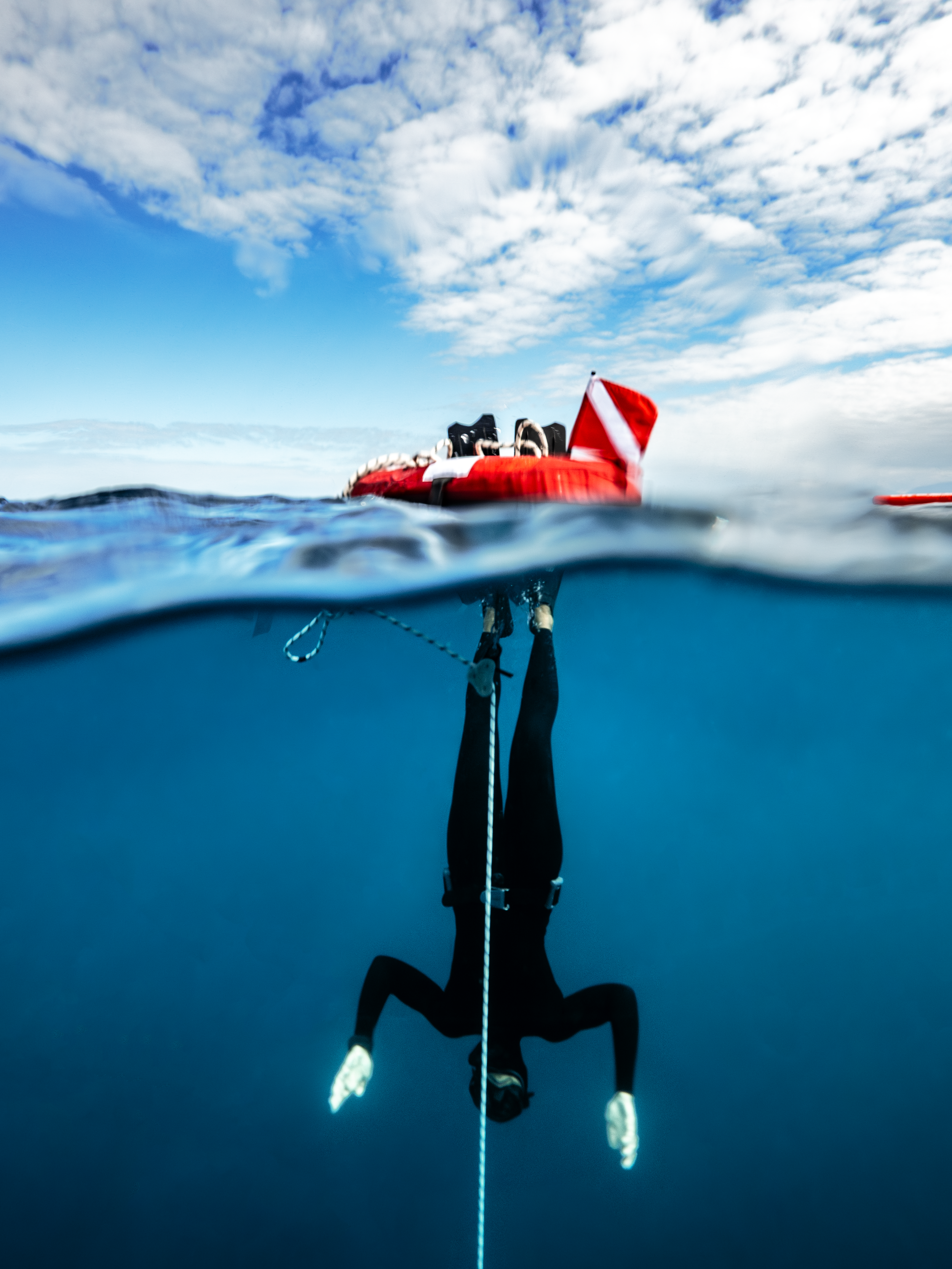 Feb 3 Freedive2.png