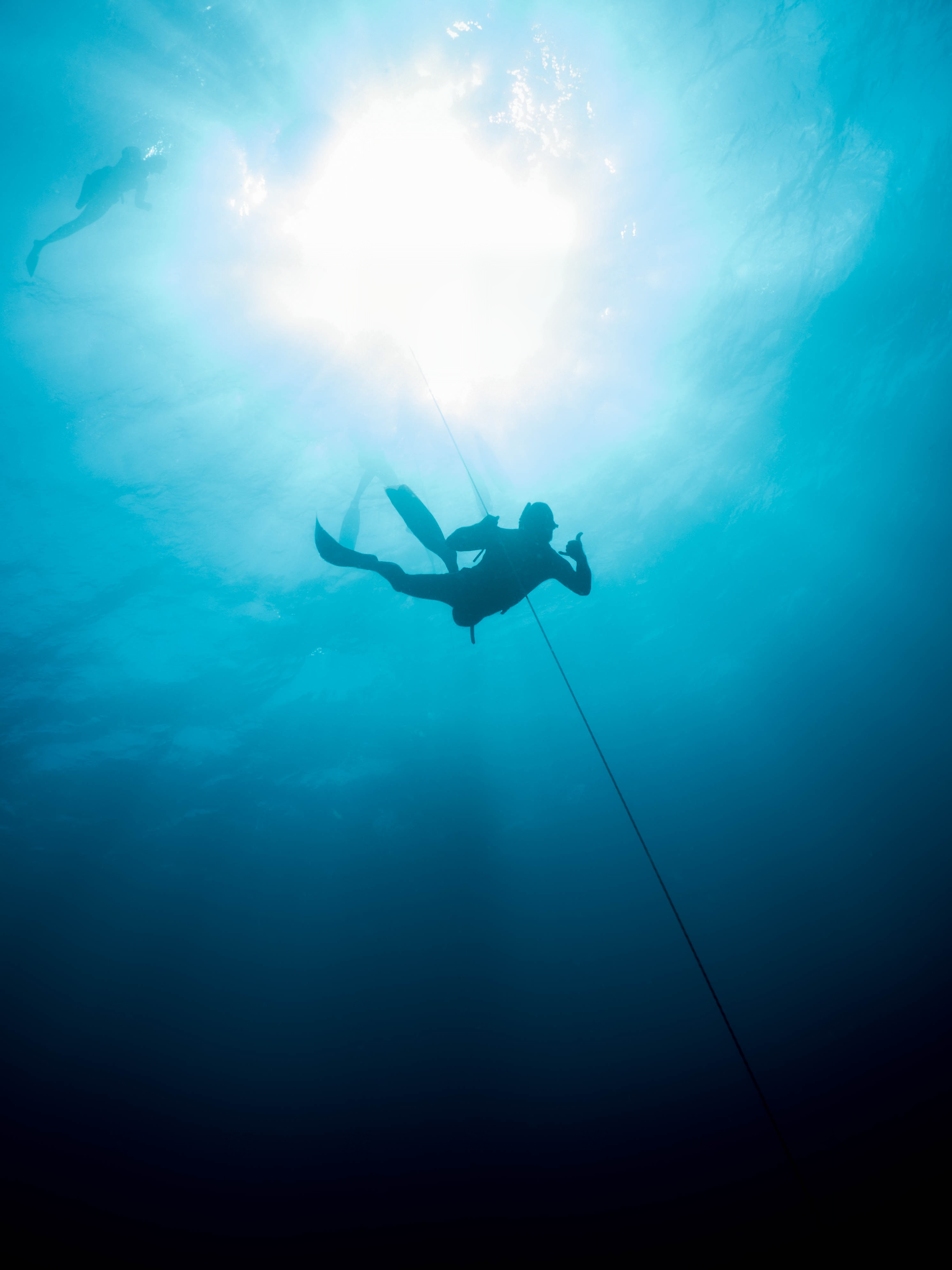 Mar 5 Freedive-18.png