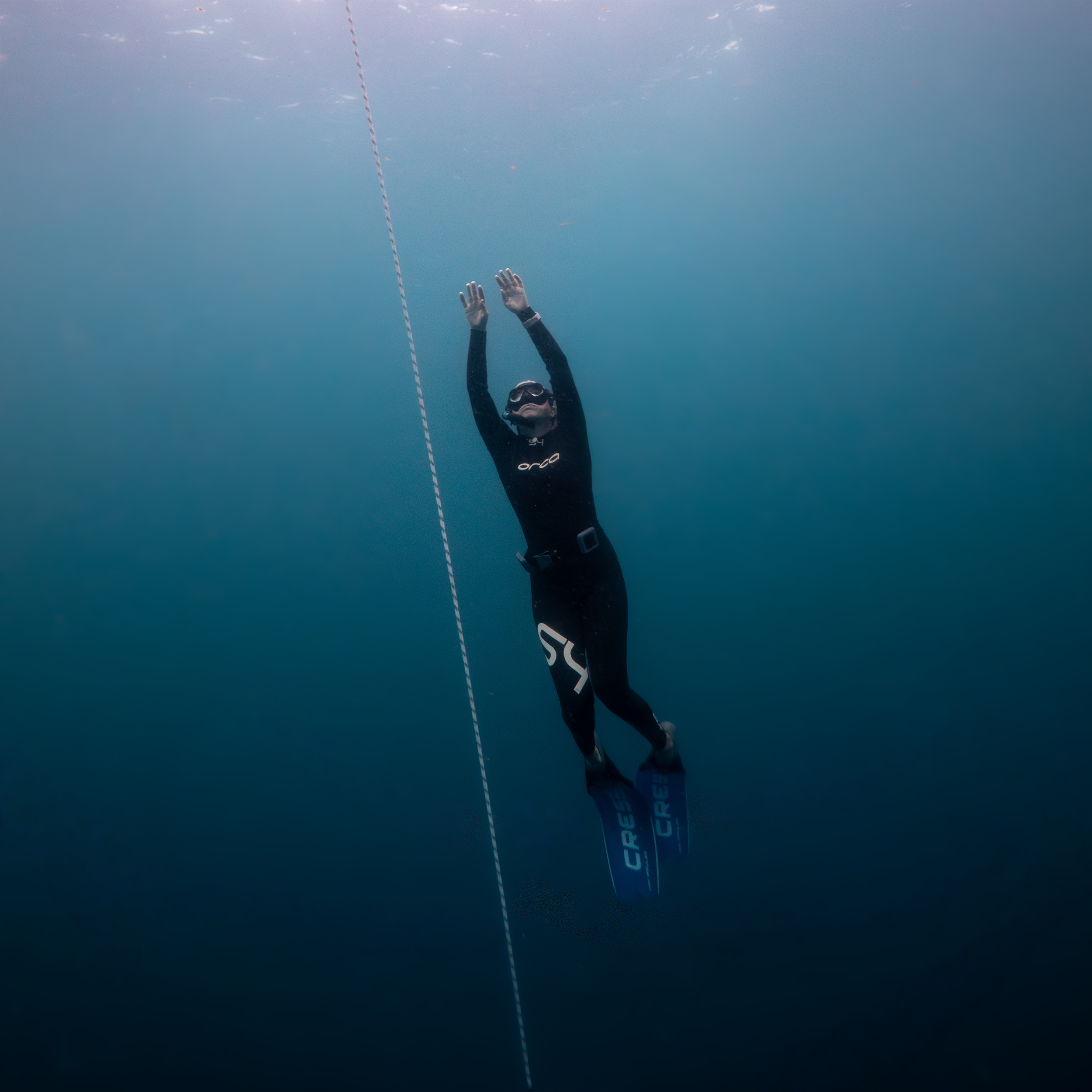 freedive 4.png