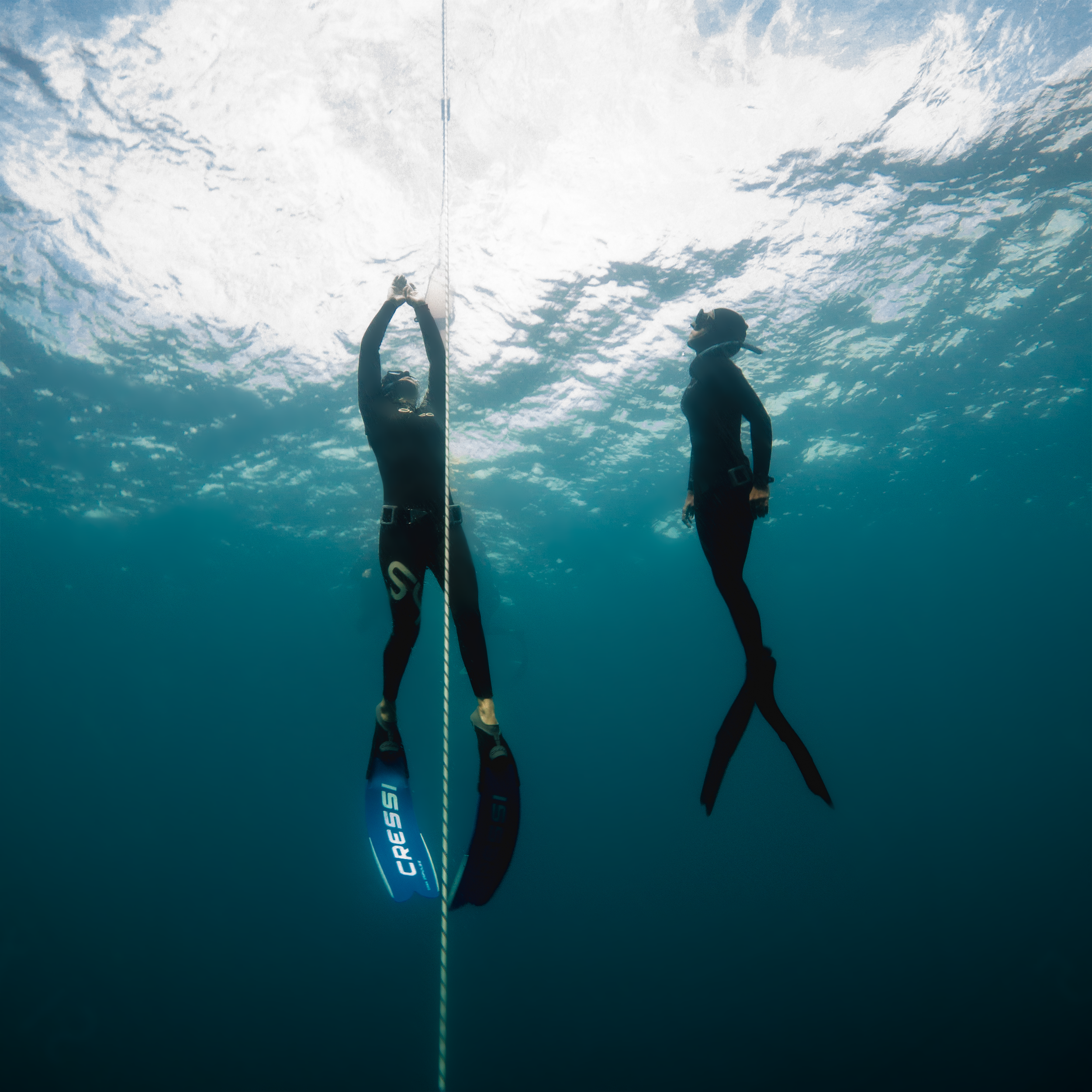Freedive 3.png