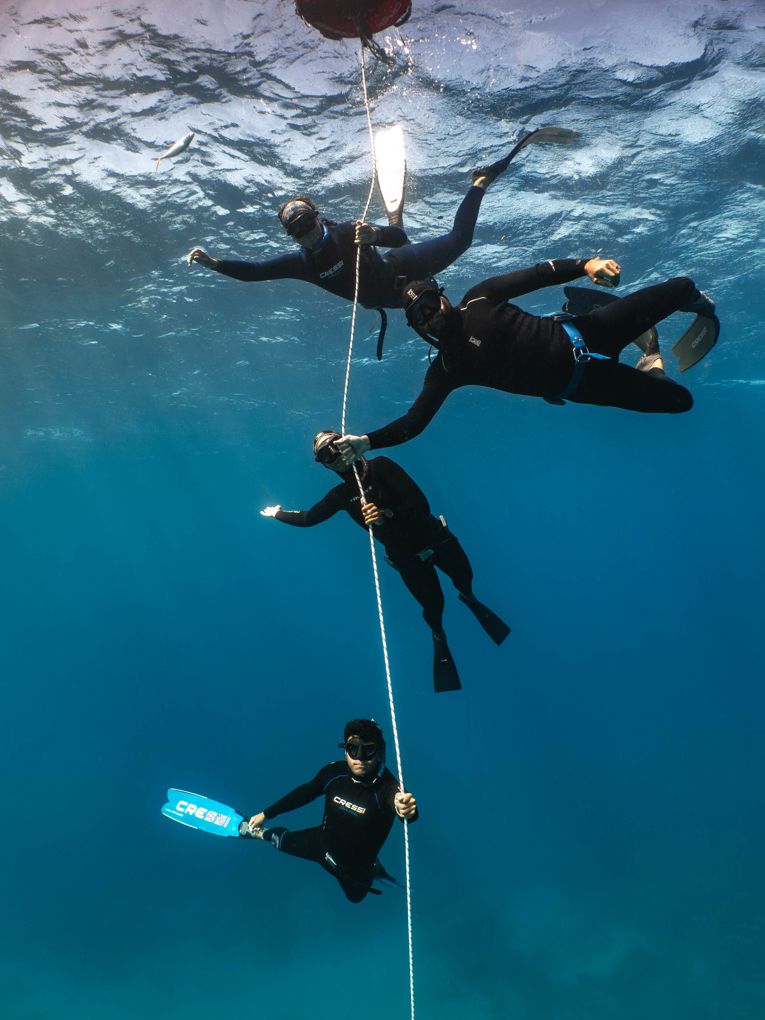 Mar 5 Freedive-19.png