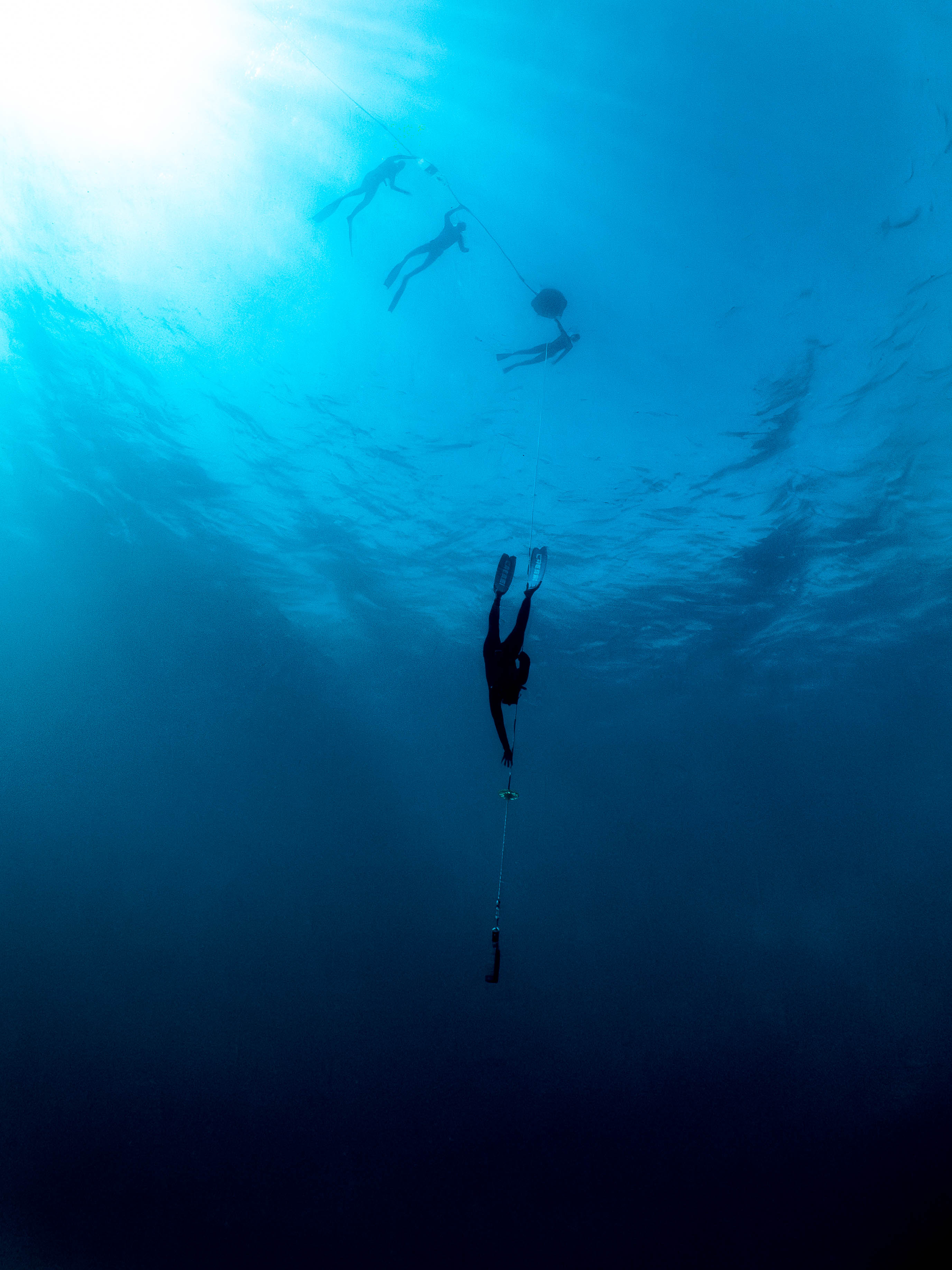 Mar 5 Freedive-1.png