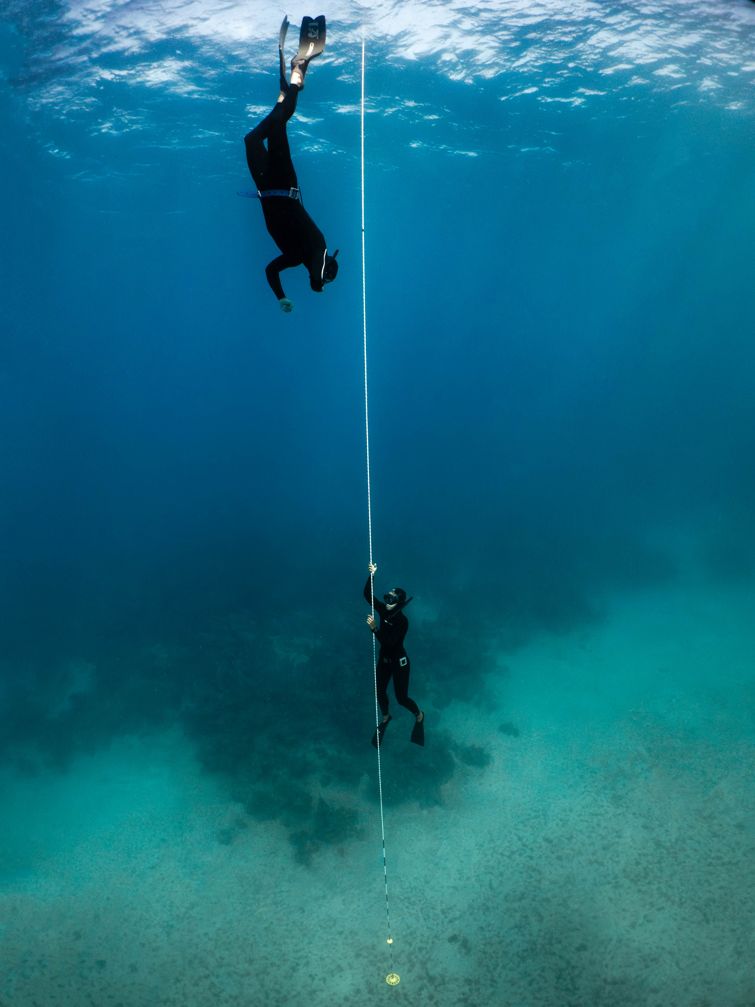 Mar 5 Freedive-12.png