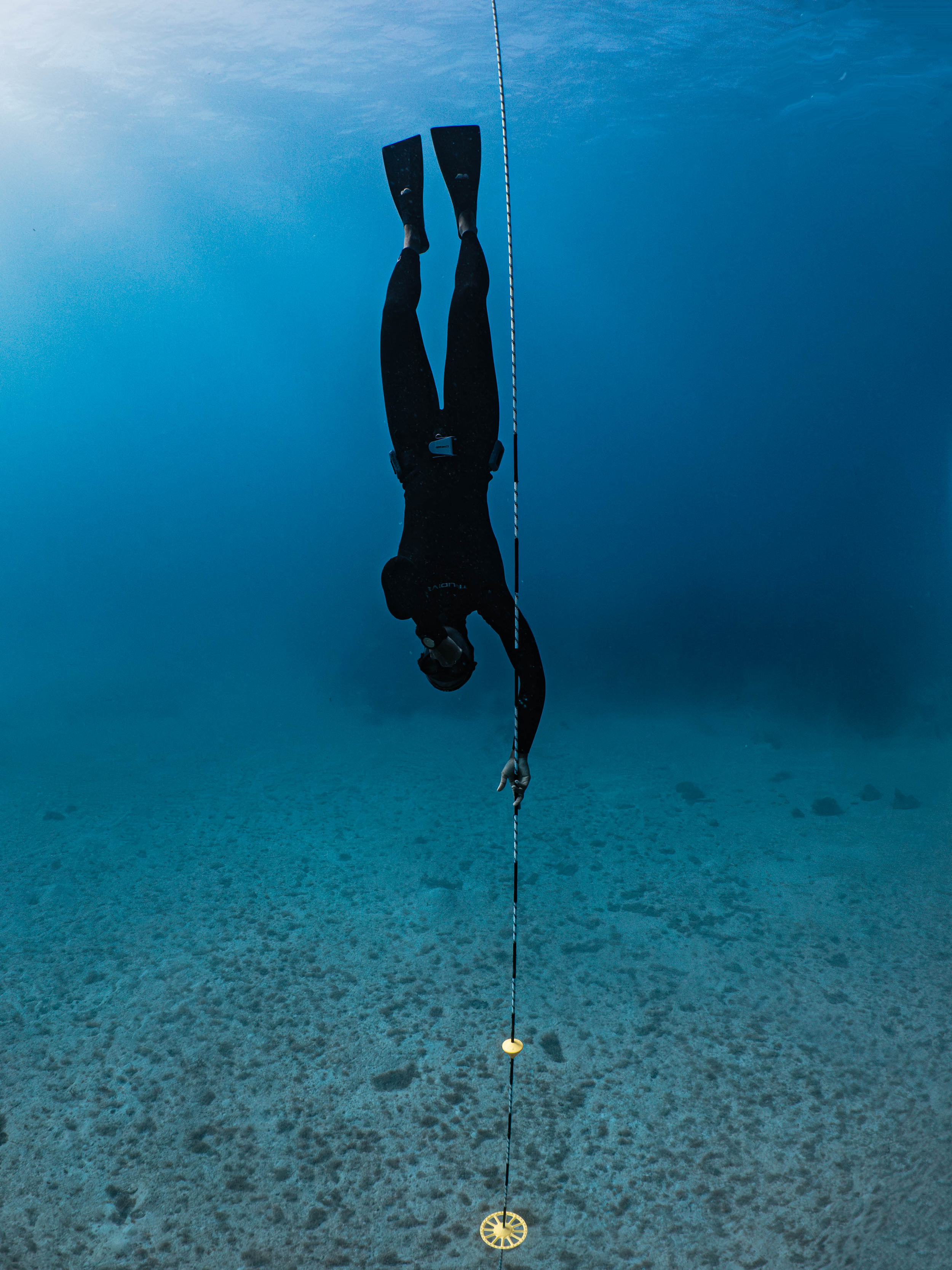 Mar 5 Freedive-11.png