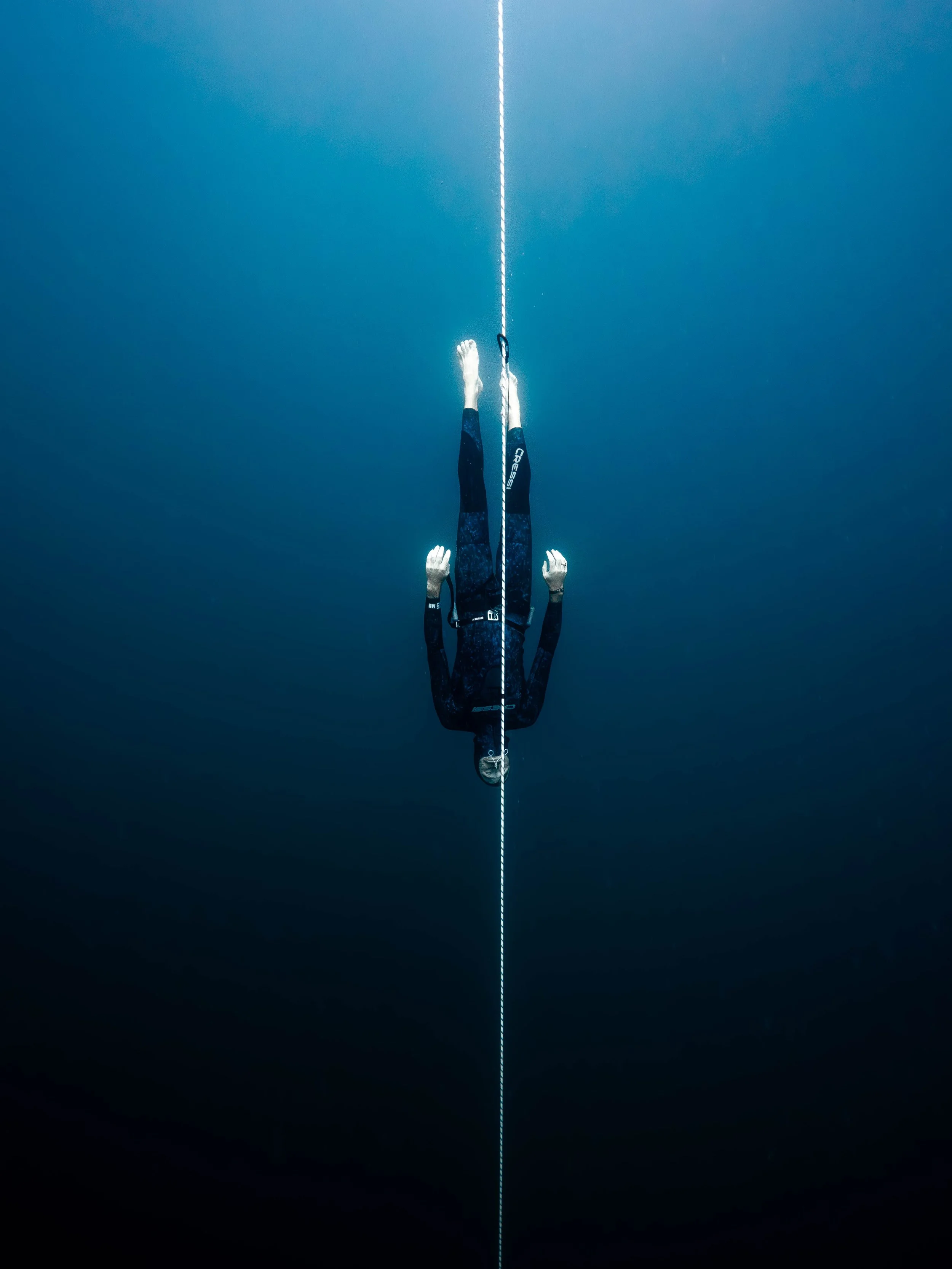 Feb 3 Freedive21.jpg