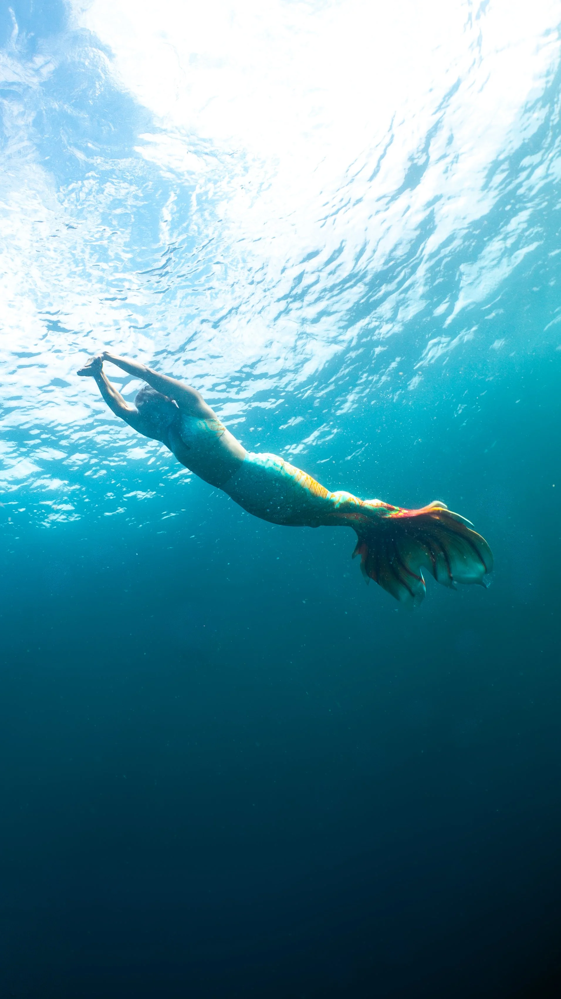 freediving mermaids-24.jpg