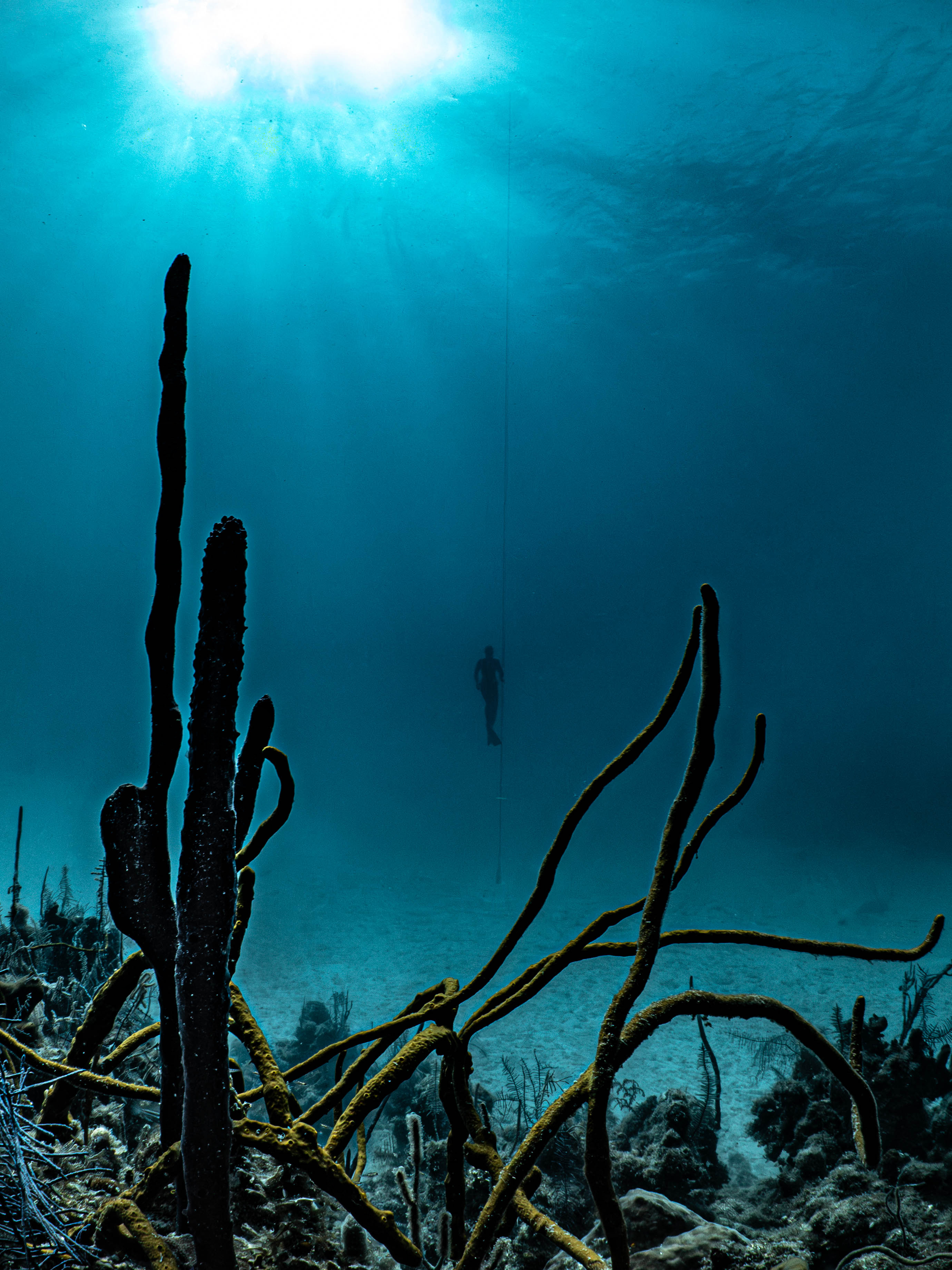 Mar 5 Freedive-15.png