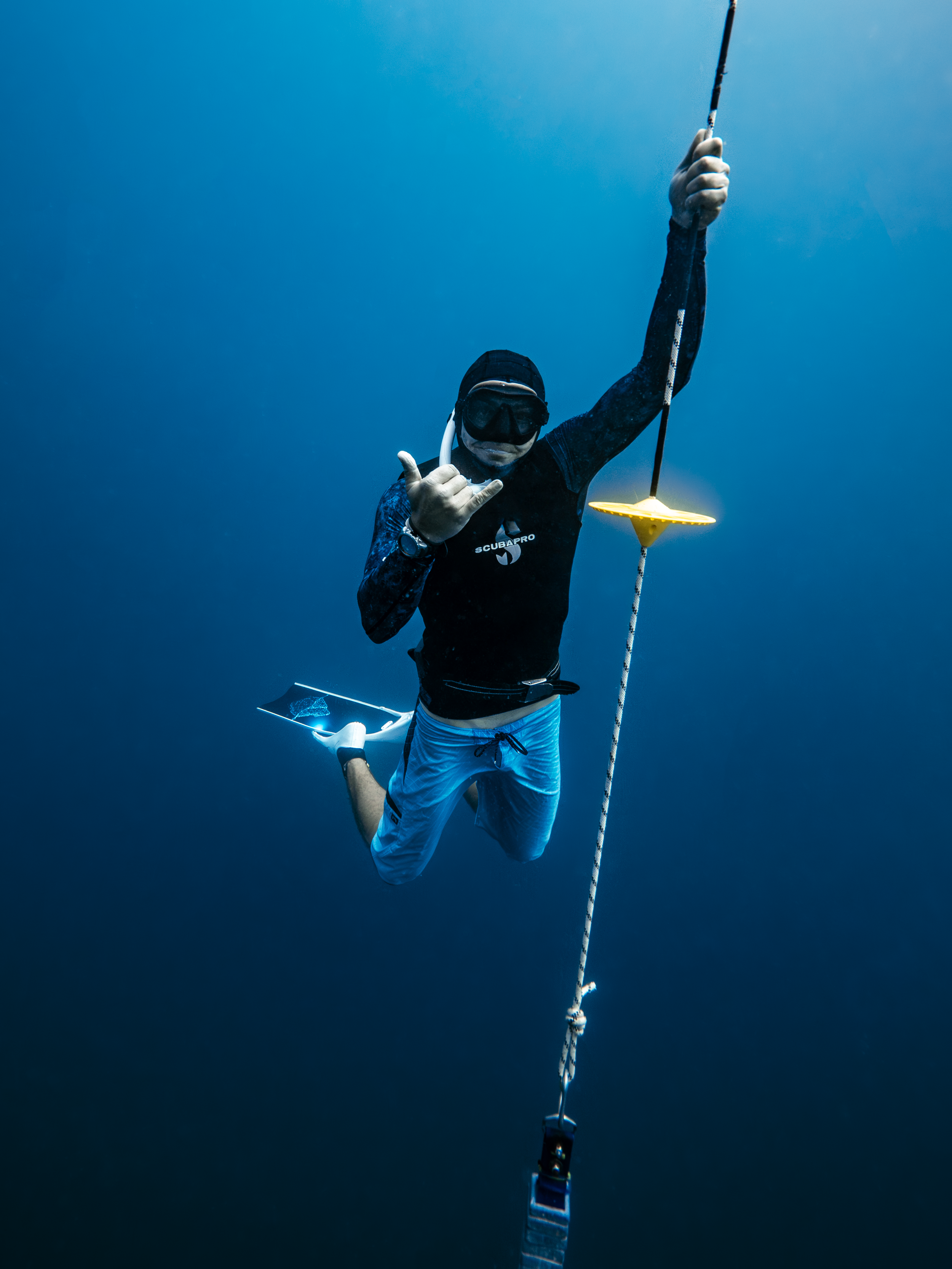 Feb 3 Freedive18.png