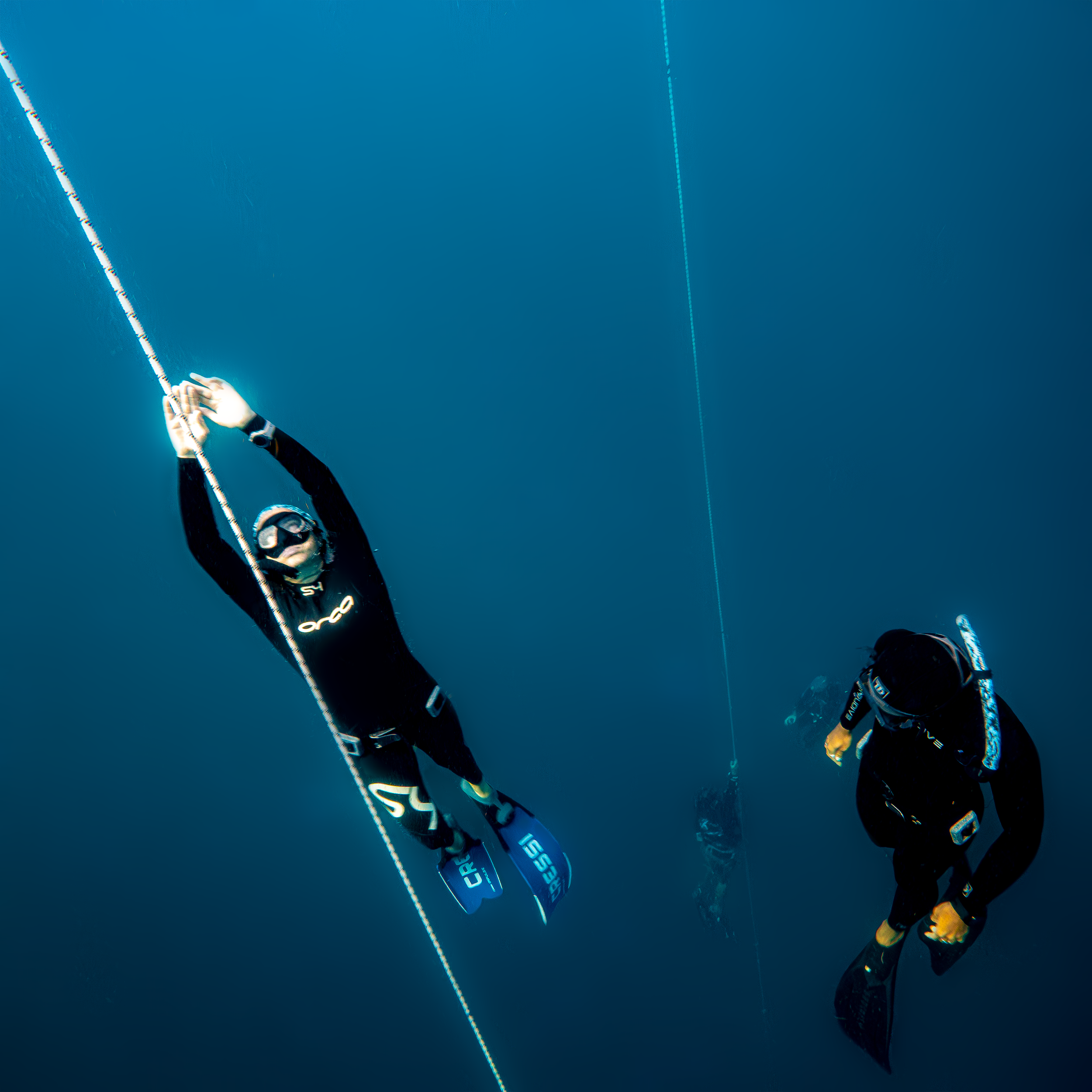 freedive 2.png