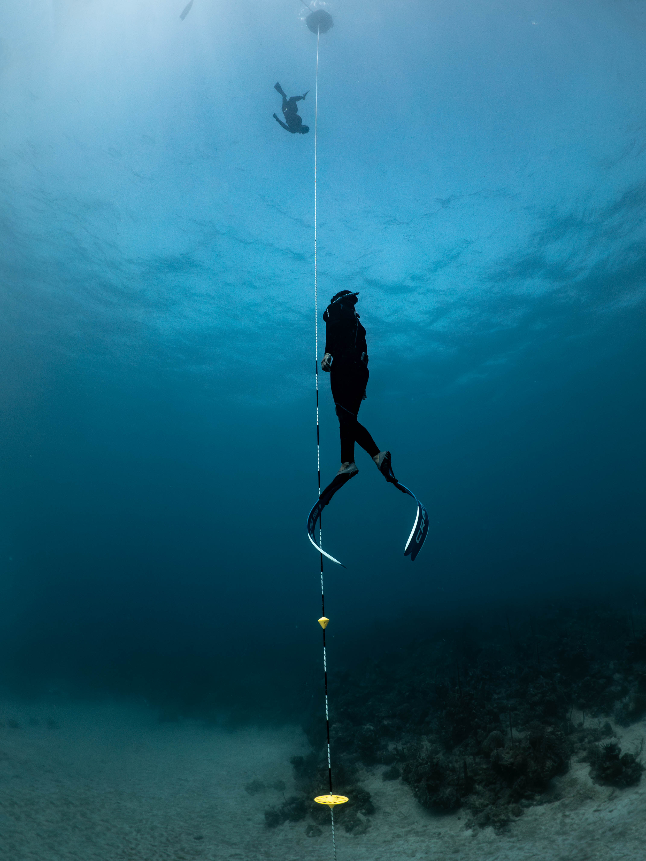 Mar 5 Freedive-8.png
