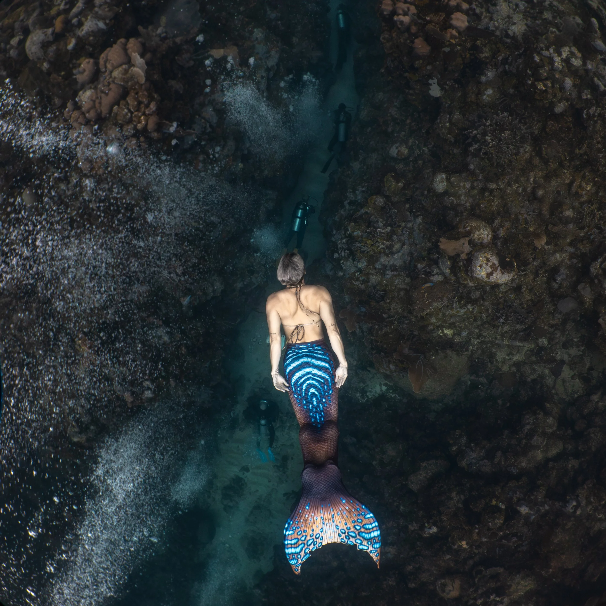 freediving mermaids-18.jpg
