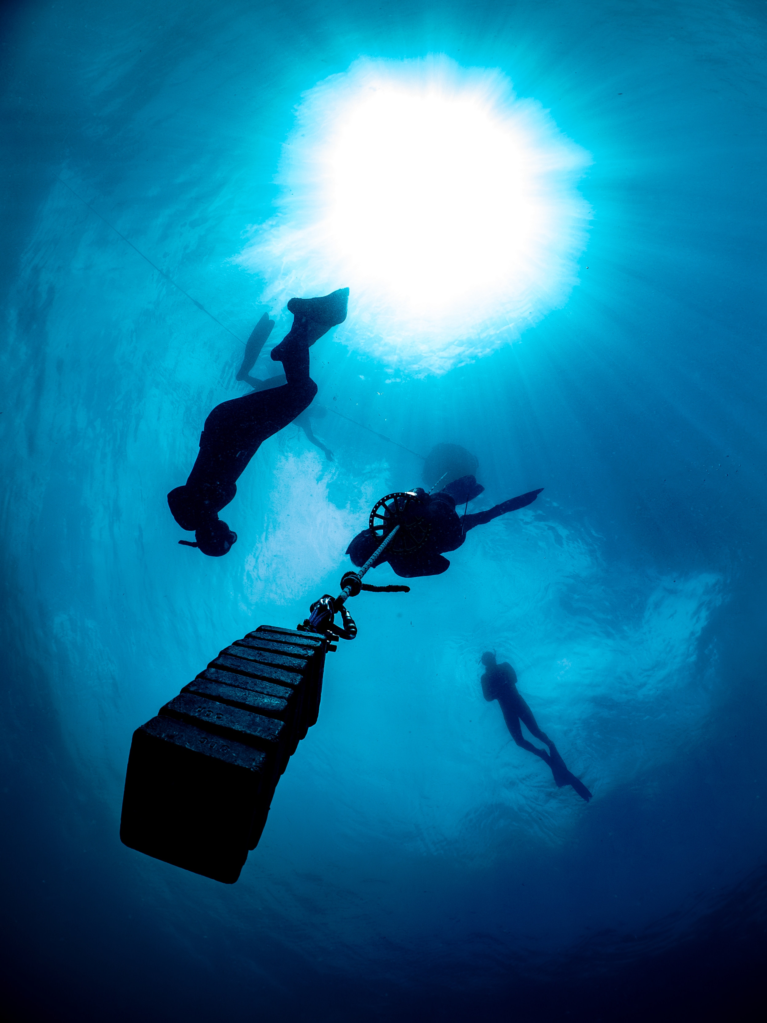 Feb 17 Freedive3.png