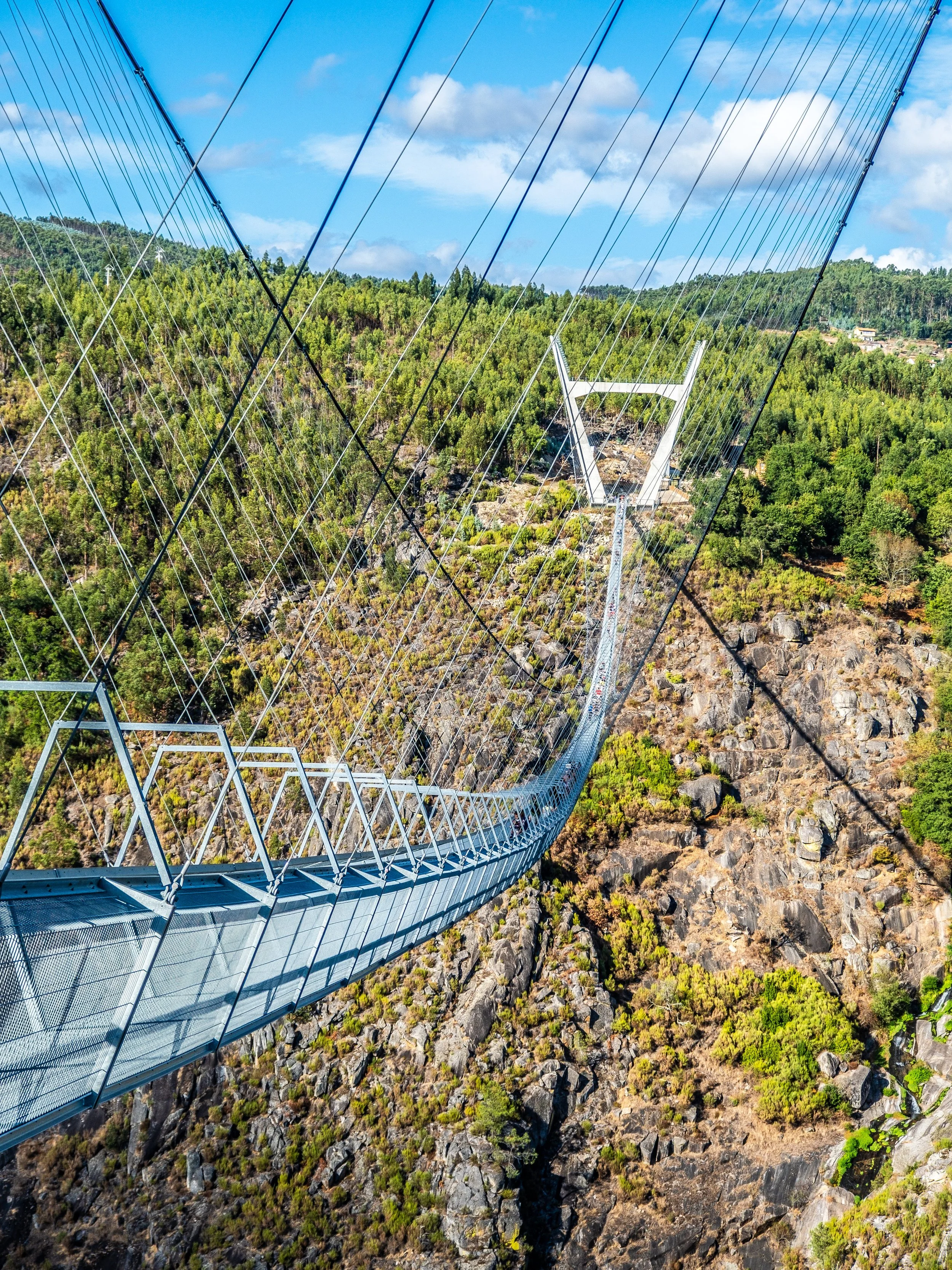 Ponte de vidro suspensa sobre um rio ou desfiladeiro, rodeada por vegetação verde e montanhas ao fundo, céu azul com algumas nuvens.