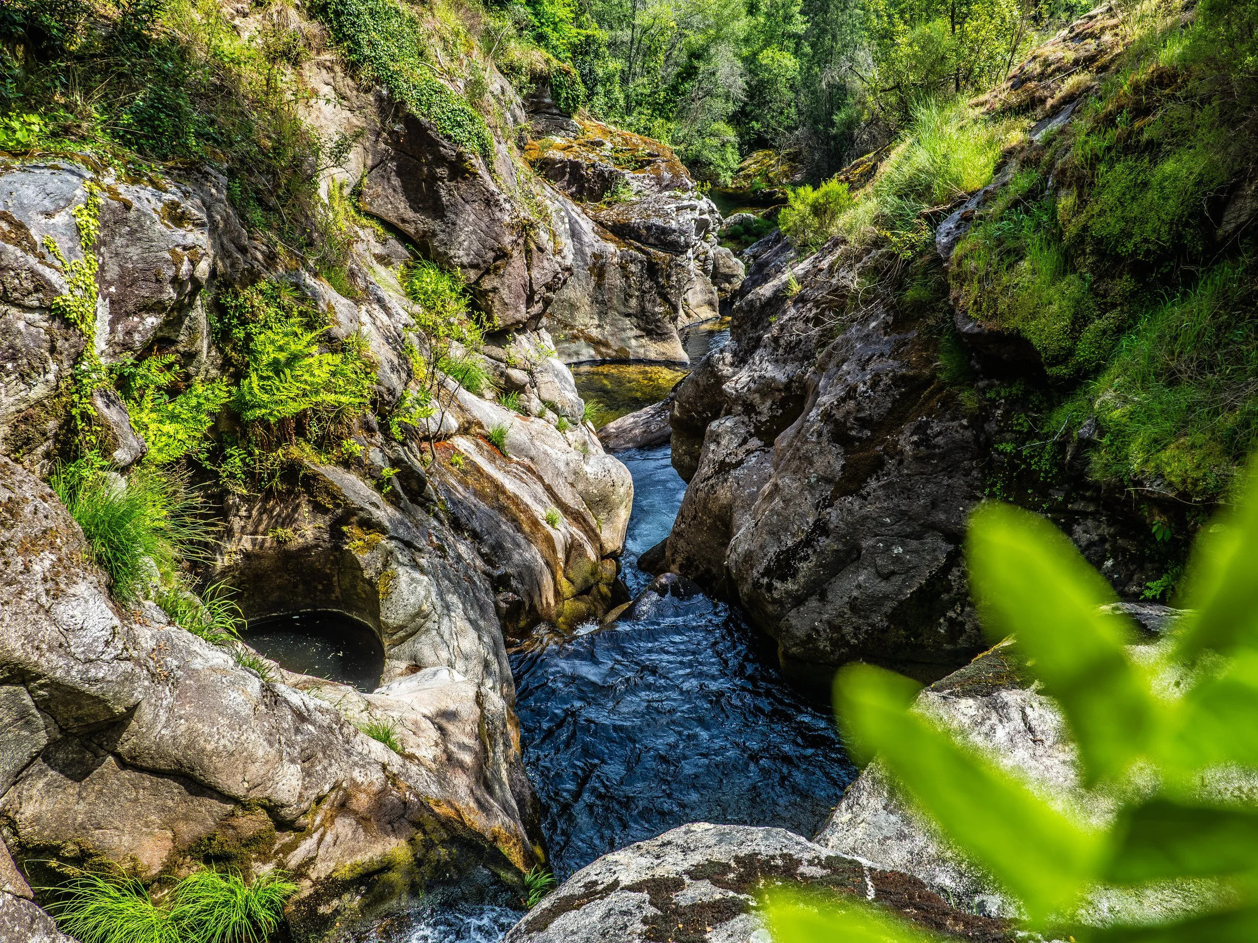Riacho atravessando uma formação rochosa, rodeado por vegetação verde, incluindo árvores e arbustos.
