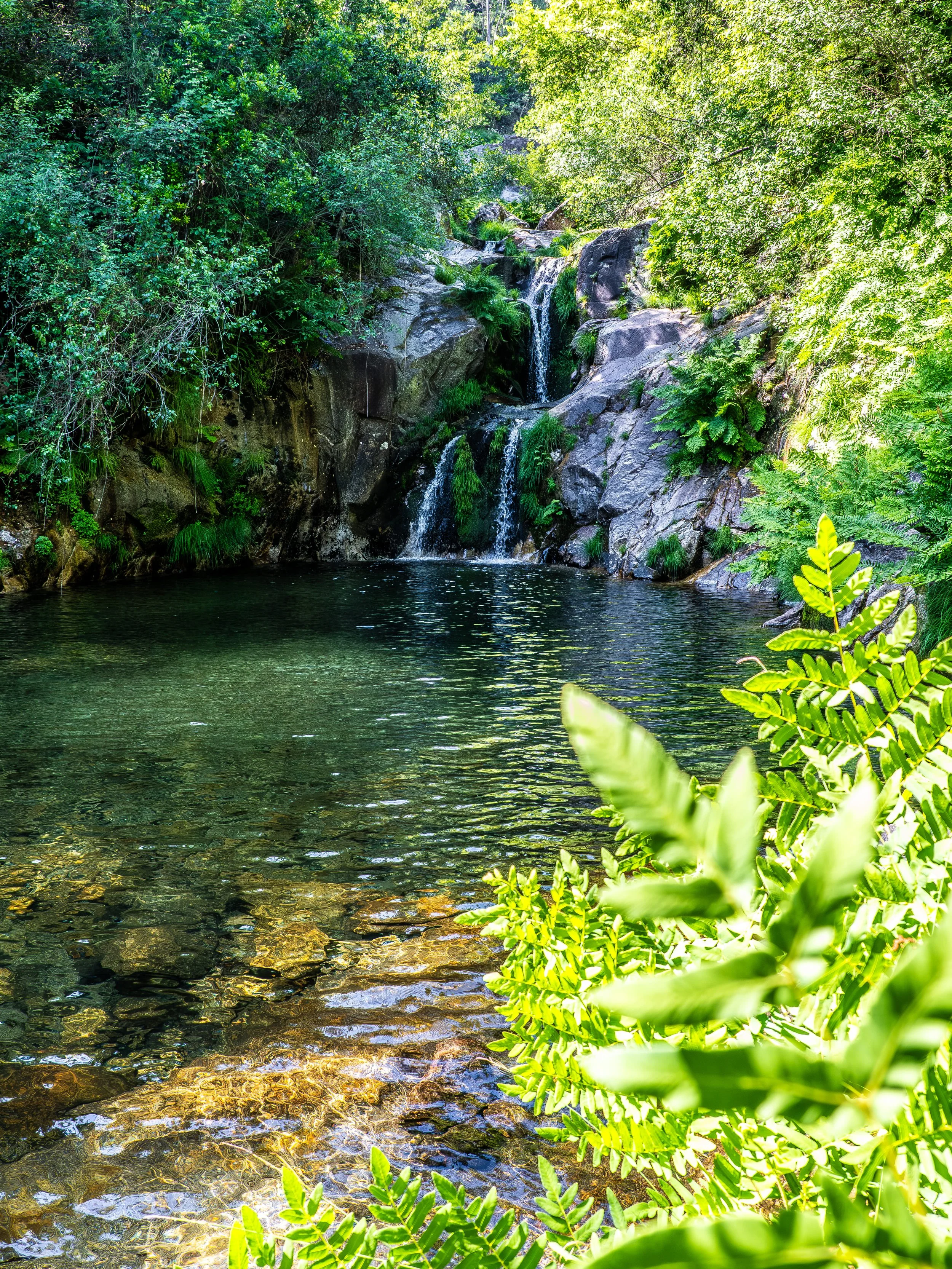 Cachoeira pequena caindo sobre rochas na floresta com água clara no rio à frente