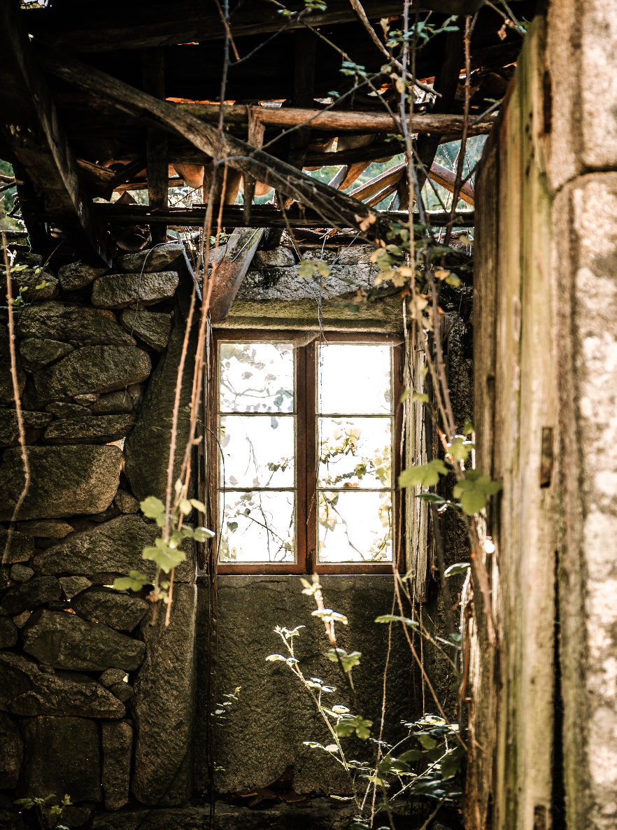 Janela antiga em uma parede de pedra, com vidros brilhantes, cercada por plantas e galhos, dentro de uma estrutura de madeira deteriorada