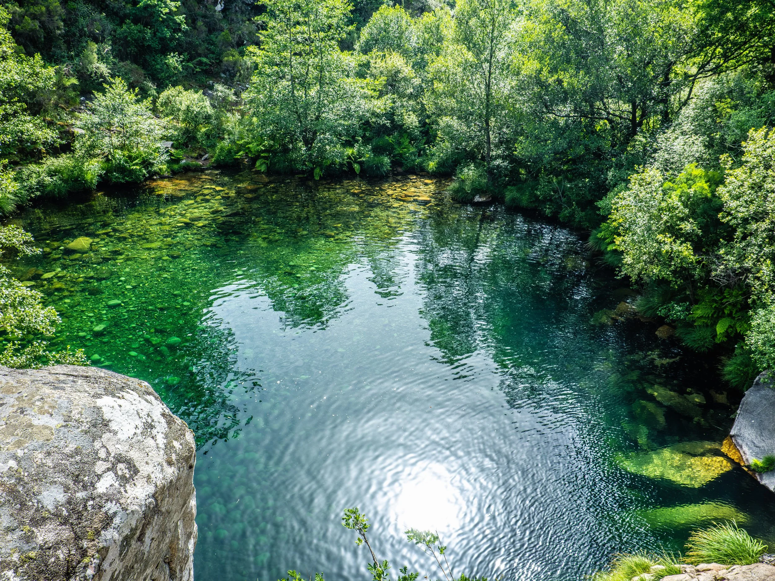 Ria de água clara cercada por vegetação densa, árvores verdes e rochas ao redor.