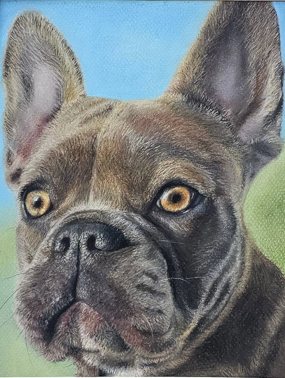 frenchie_cropped.jpg