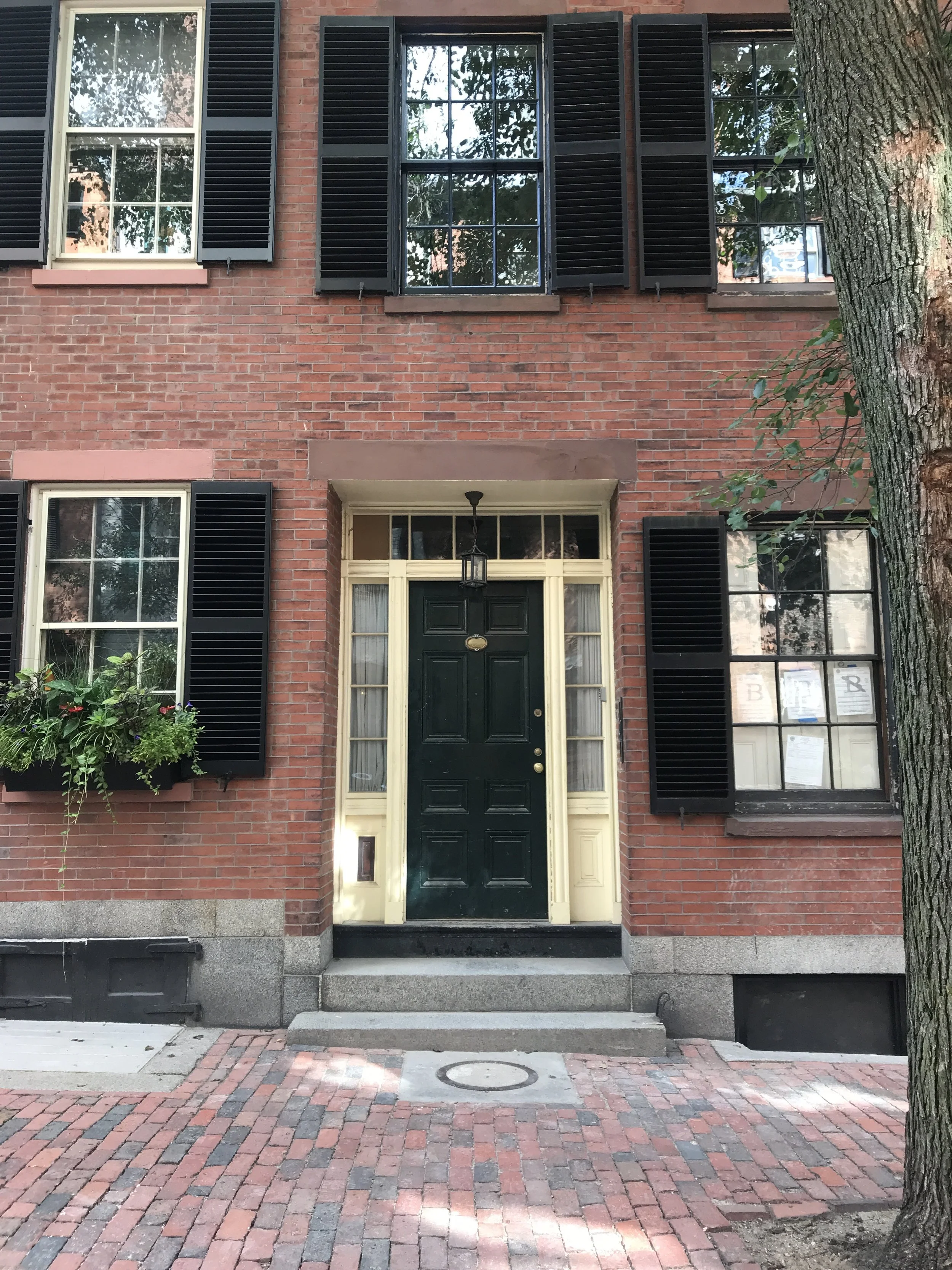 Four Doors of Pinckney Street: Nathaniel Hawthorne