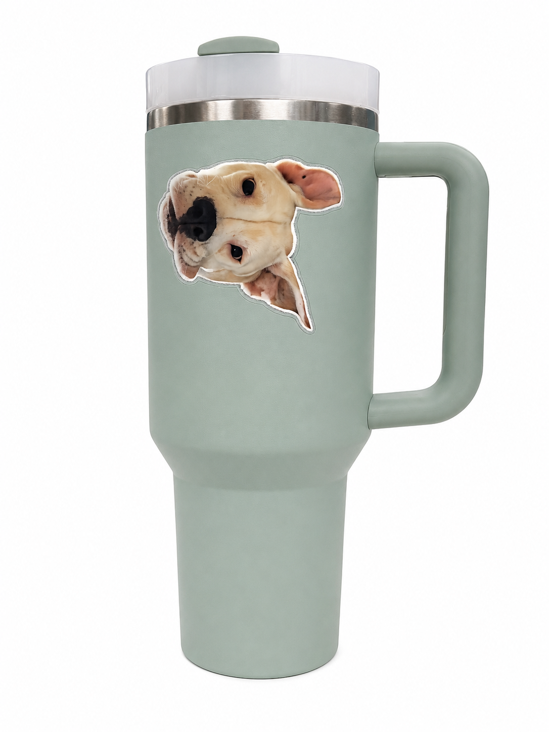 Petey head tilt water bottle.png