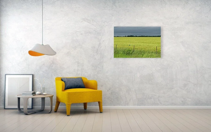 Green Before the Gold fine art print displayed above a yellow chair and small table