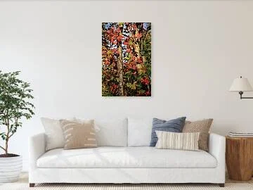 autumn-leaves-on-birch-trees-robert-niemeier-4.jpg
