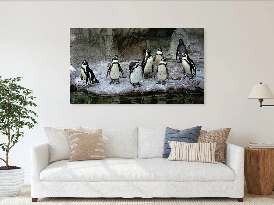 Eight Opinions (Panorama) fine art print framed above a sofa in a living room