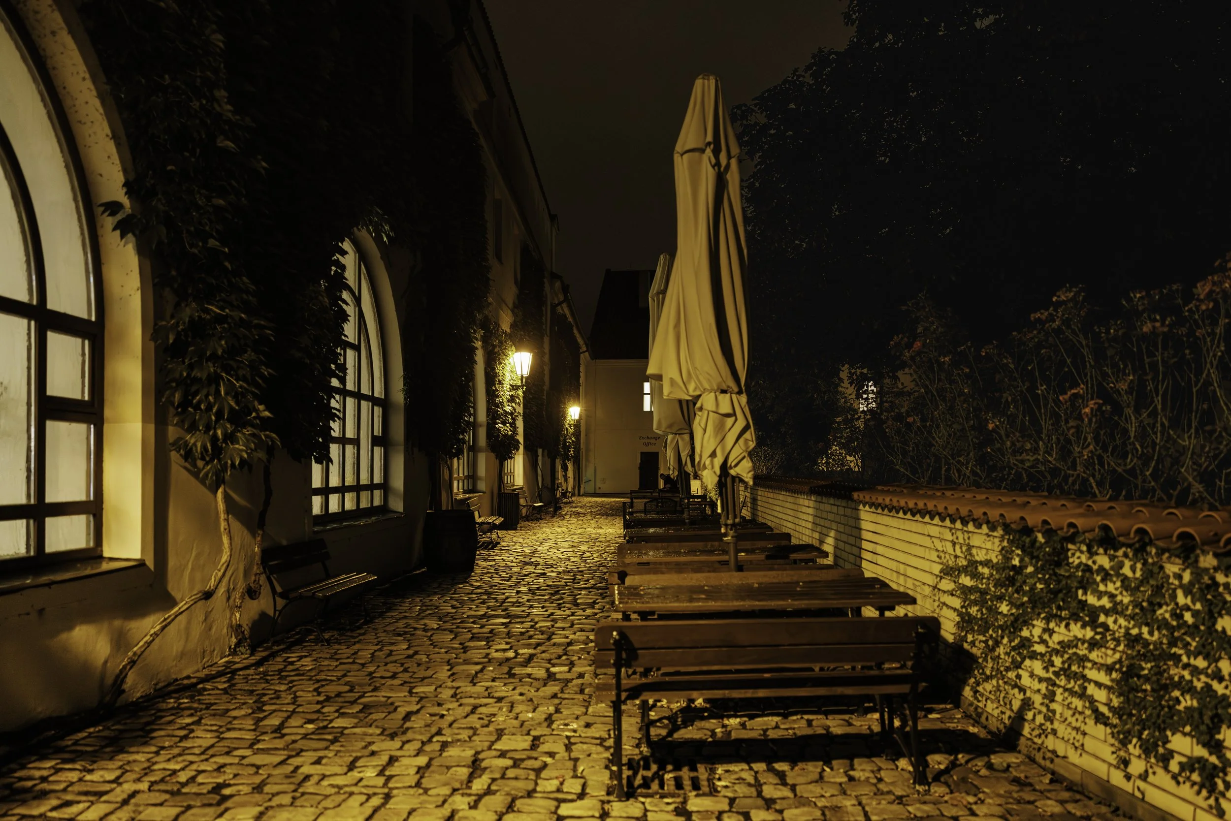 Where the Evening Waited