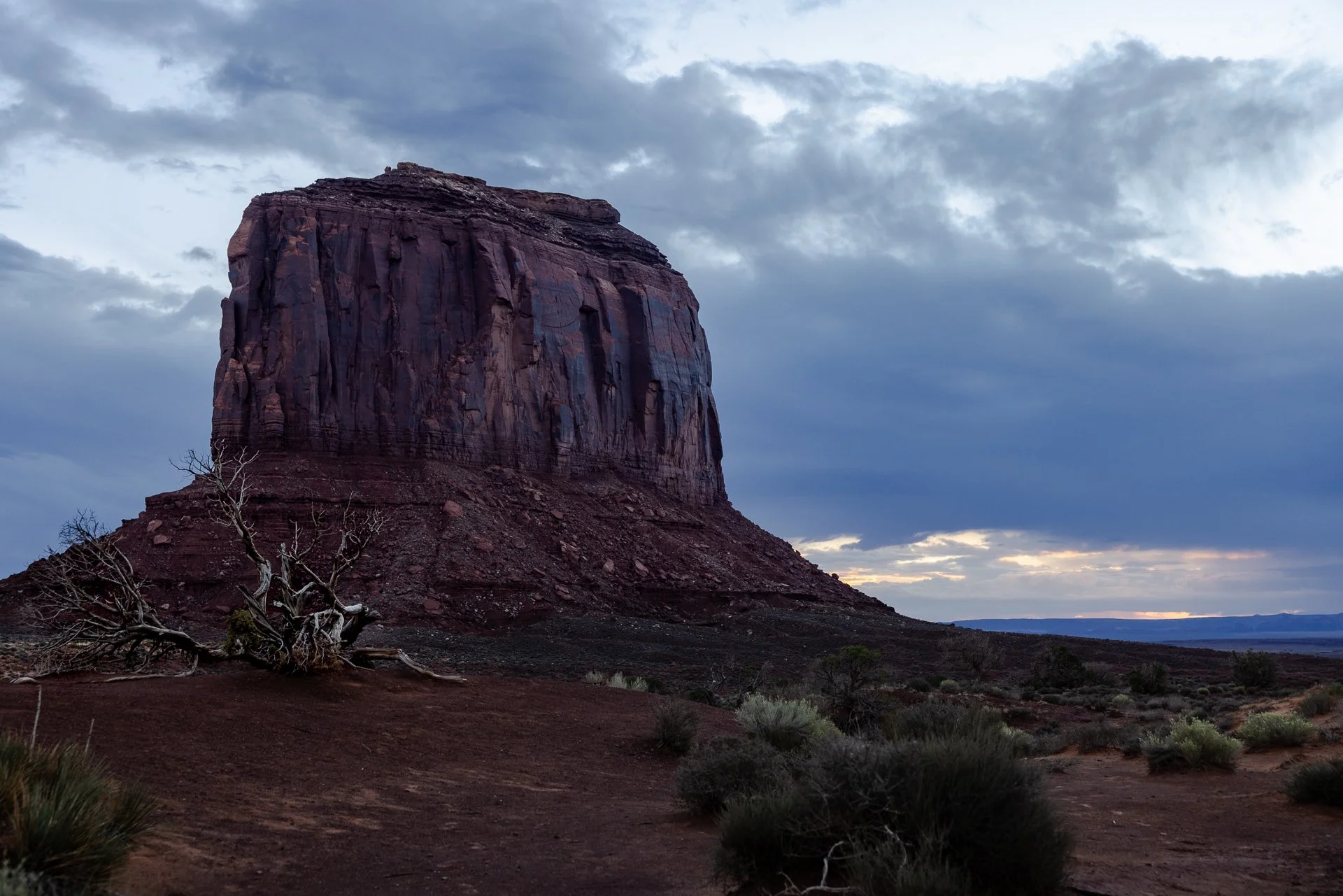 Rooted In the Wind — Southwest Desert Landscape Photography