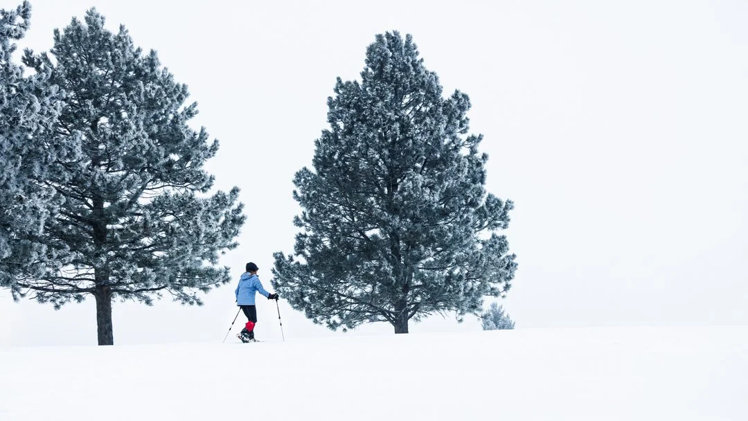 A single figure moves through snow between two towering, frost-rimed pines — small against the scale of the landscape, unhurried against the stillness of it.
