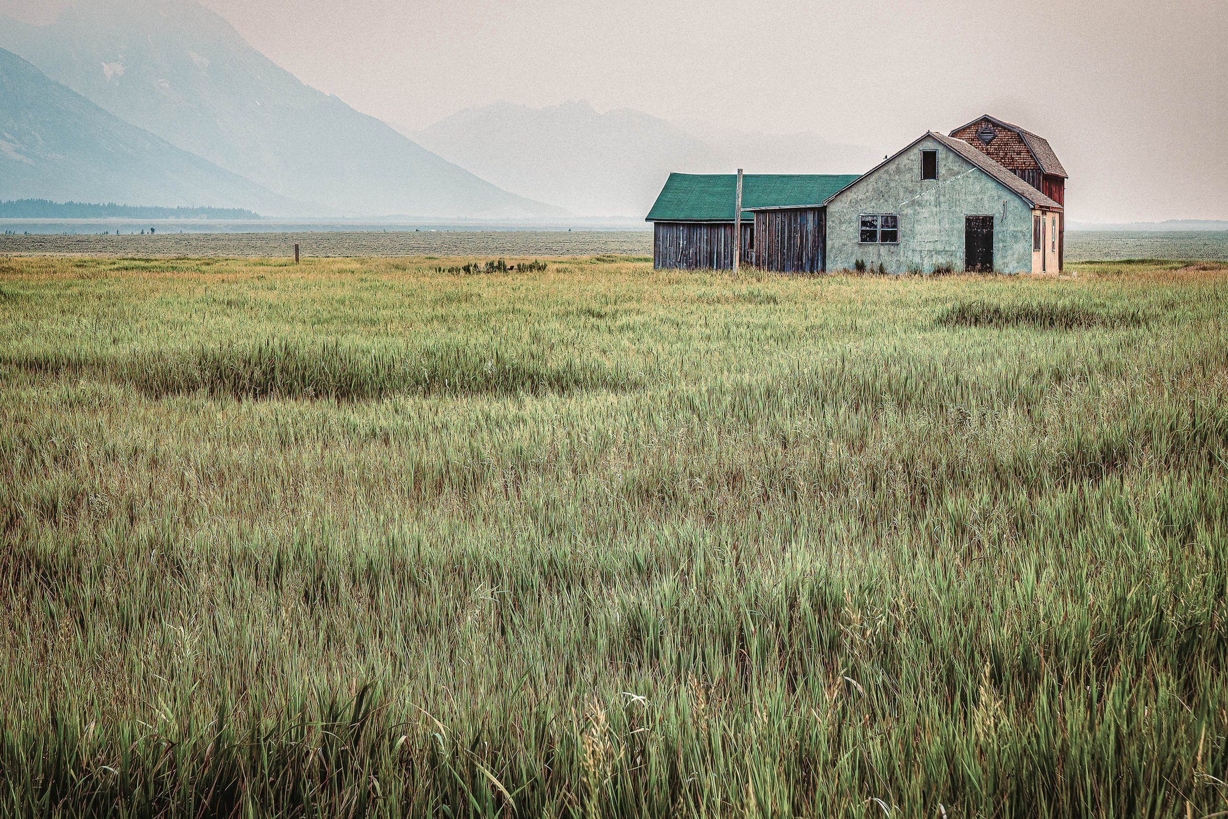Between Us, the Field