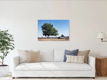 beneath-the-judgment-tree-robert-niemeier (3).jpg