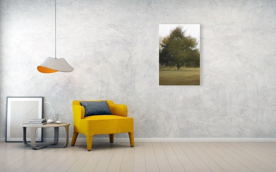 Chair: One Tree, Many Mornings fine art print displayed above a yellow chair and small table