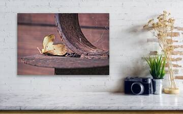 what-the-web-kept-leaf-and-spider-web-fine-art-print-robert-niemeier.jpg