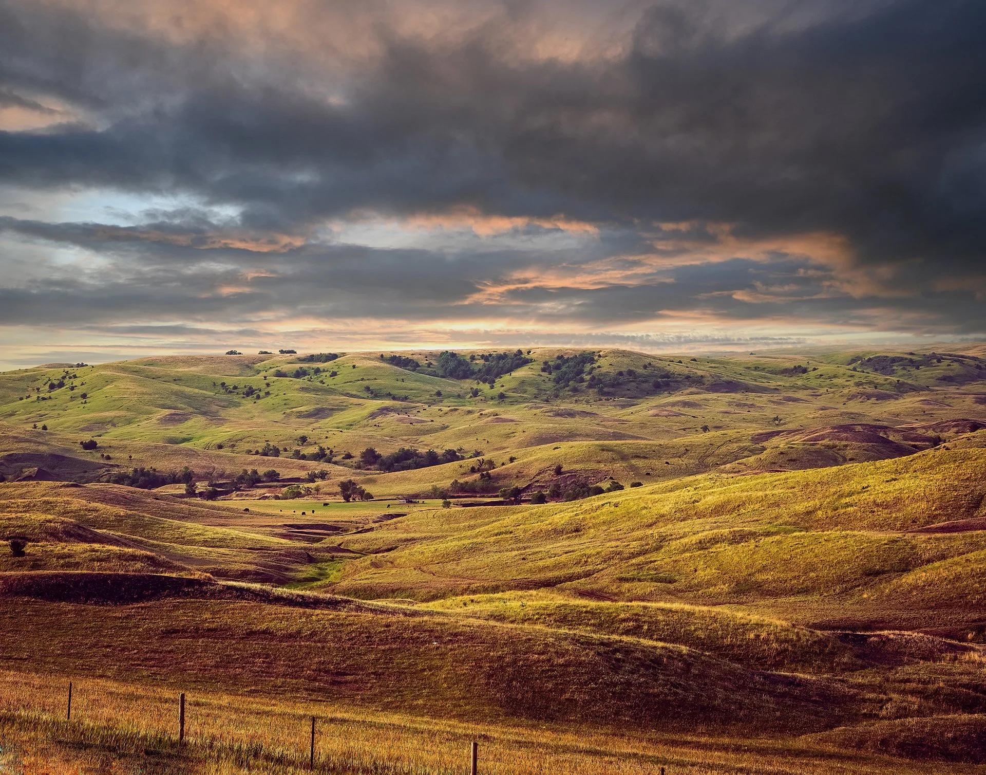 The Day the Prairie Paused, showing undulating Kansas tallgrass prairie under a meditative golden hour sky.