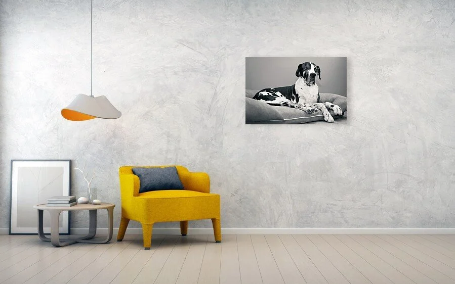 Still With Me fine art print displayed above a yellow chair and small table