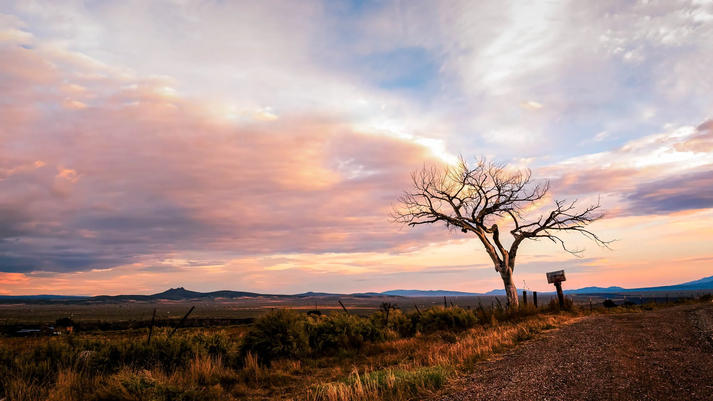The Long Goodbye (Panorama)