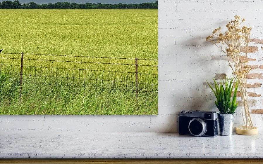 Green Before the Gold, close-up detail of the fine art print above a marble ledge with a camera and a plant