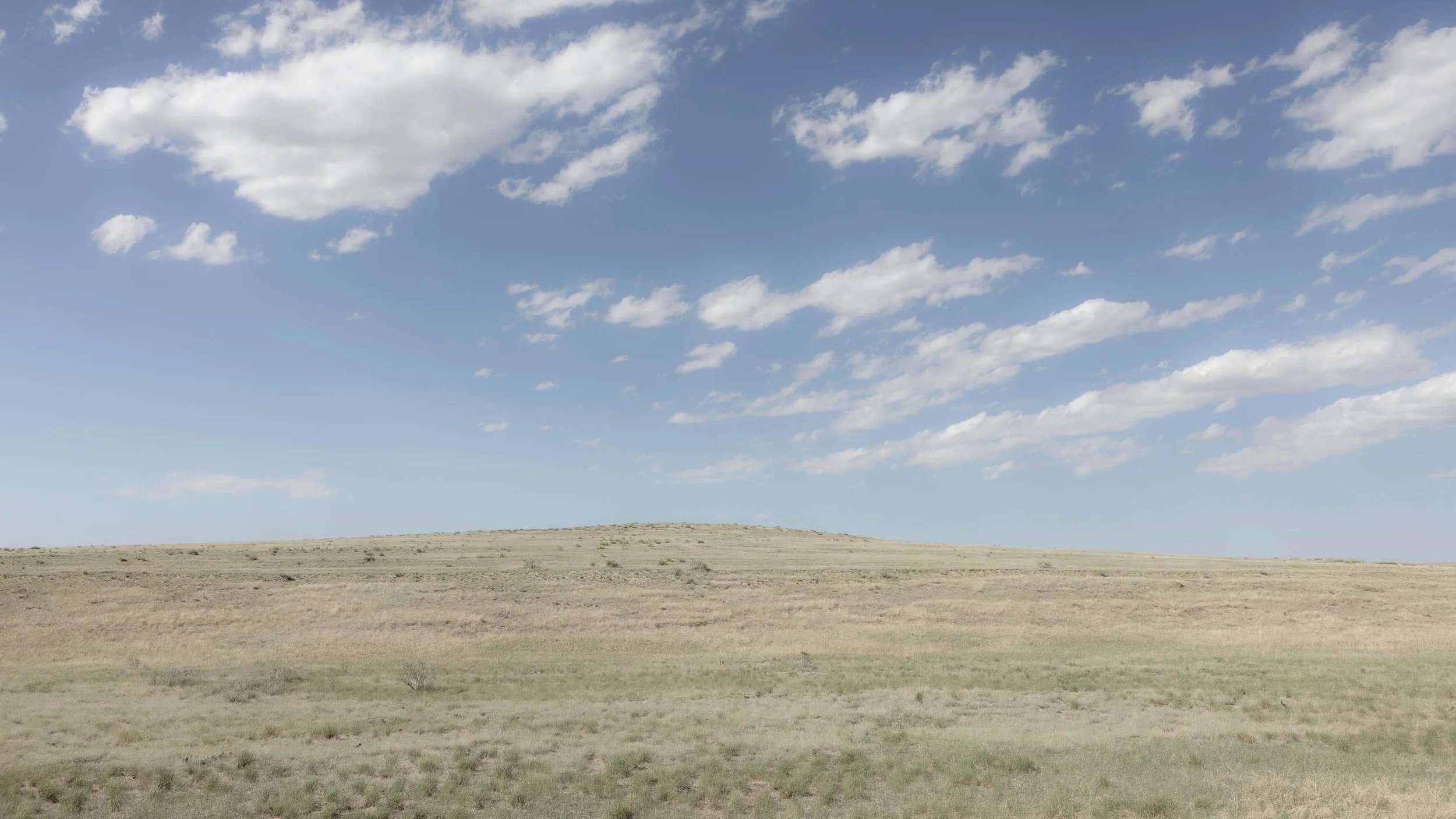 The Shape of Distance (Panorama)