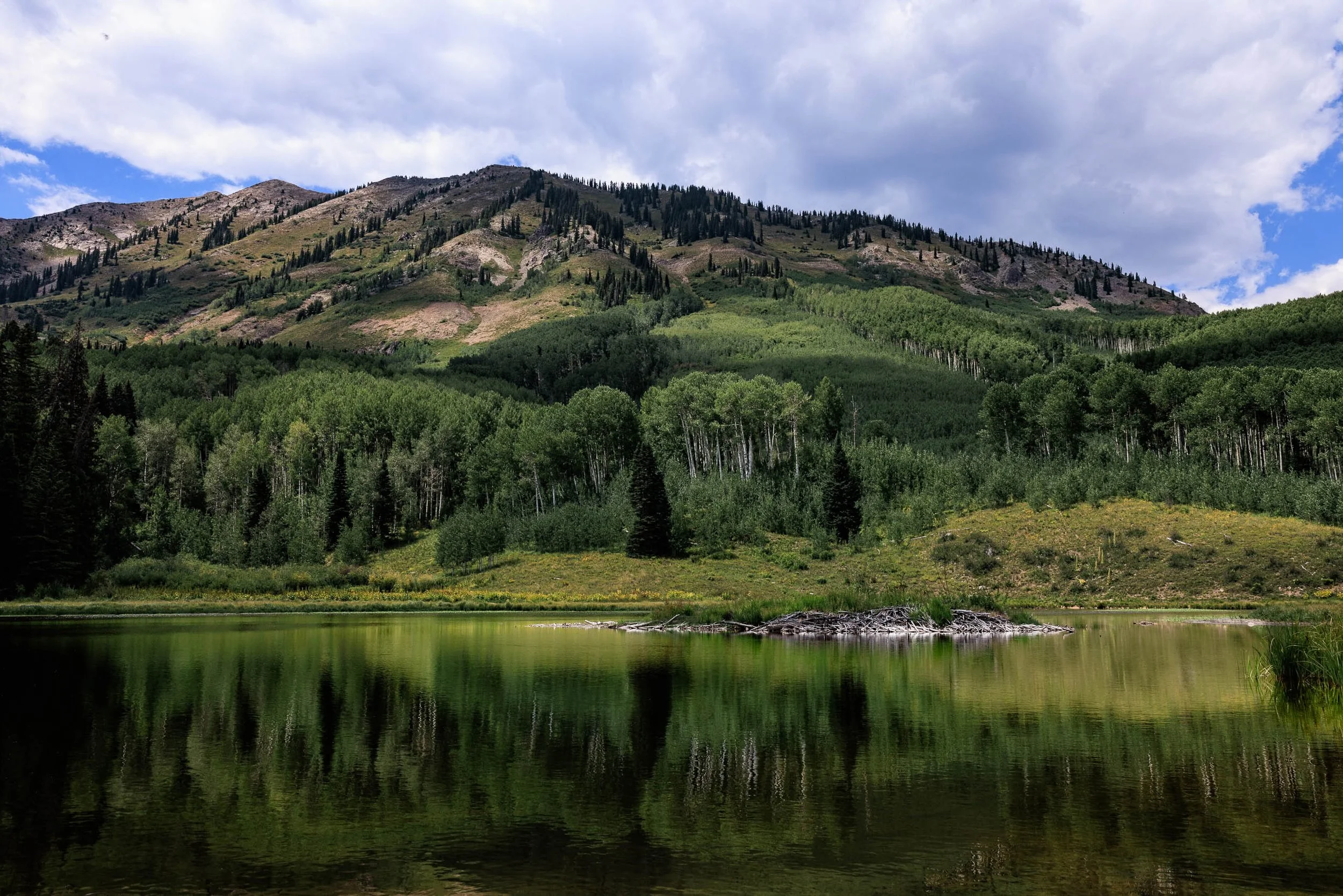 Calm Lake, Kebler Pass, Beaver Dam Hike